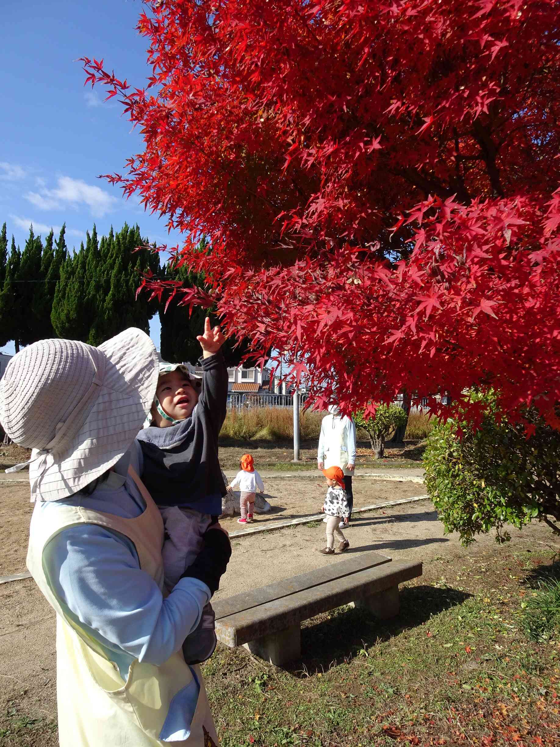 あ!!あ!!と、興味津々♪