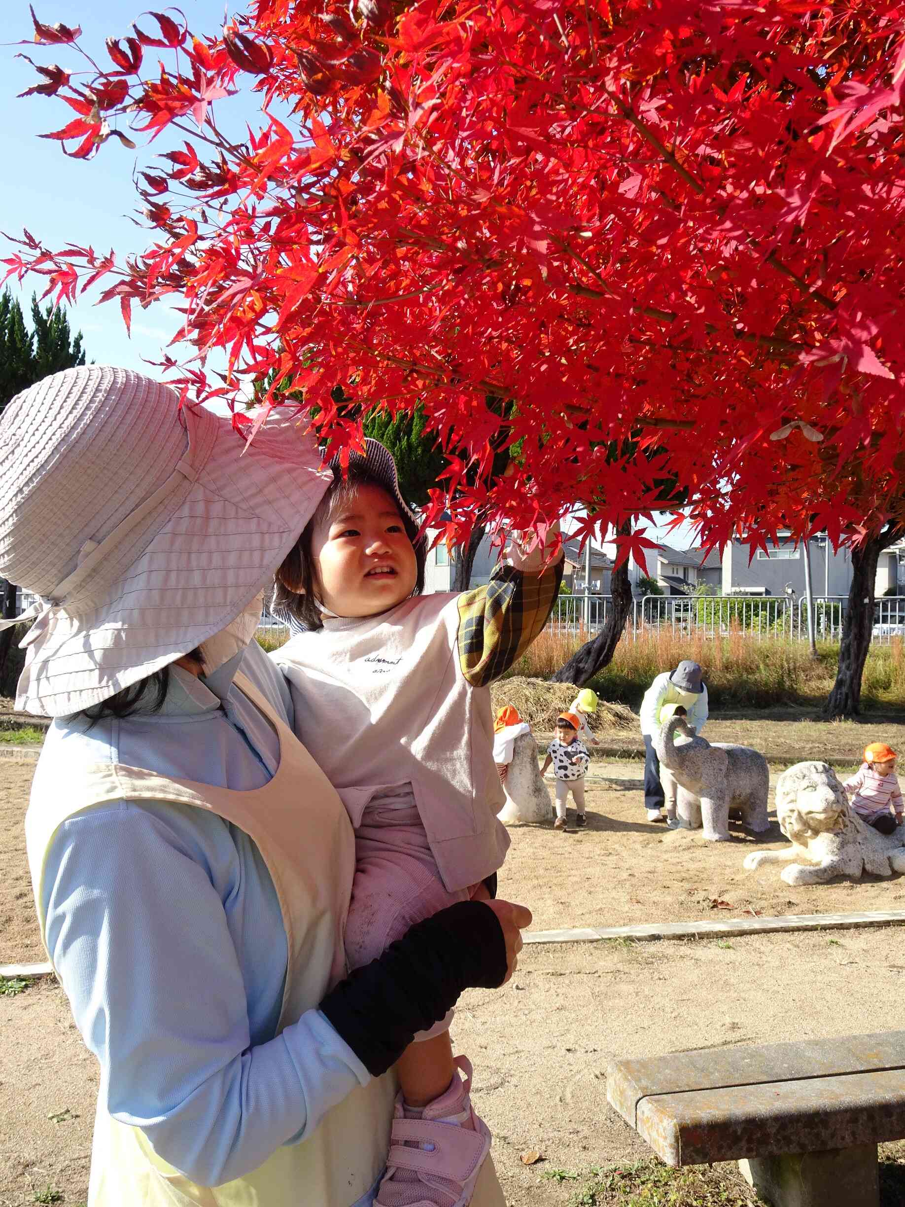 綺麗な紅葉だね♪♪