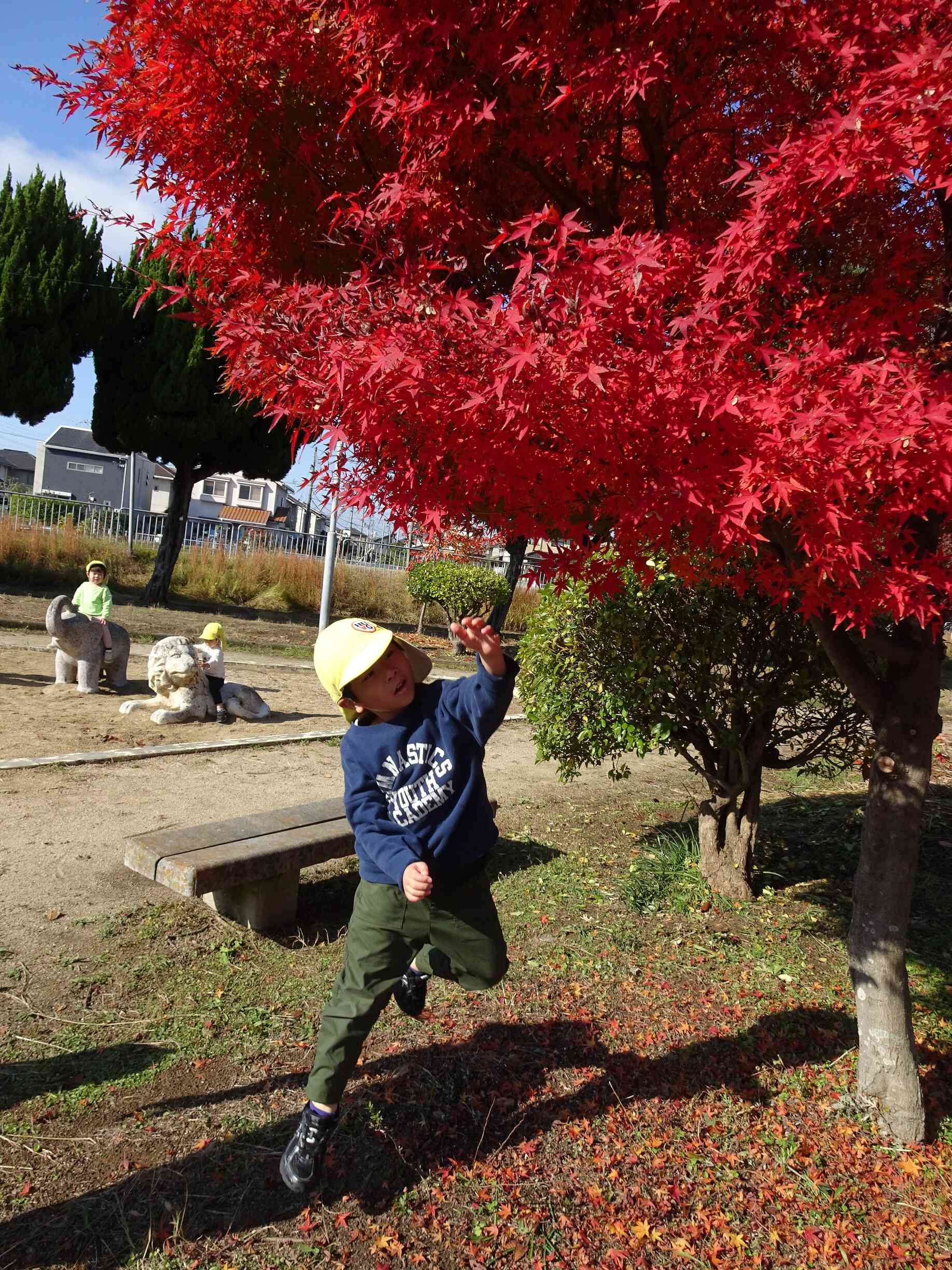 紅葉にジャーンプ!!!!もう少しで届きそう♡