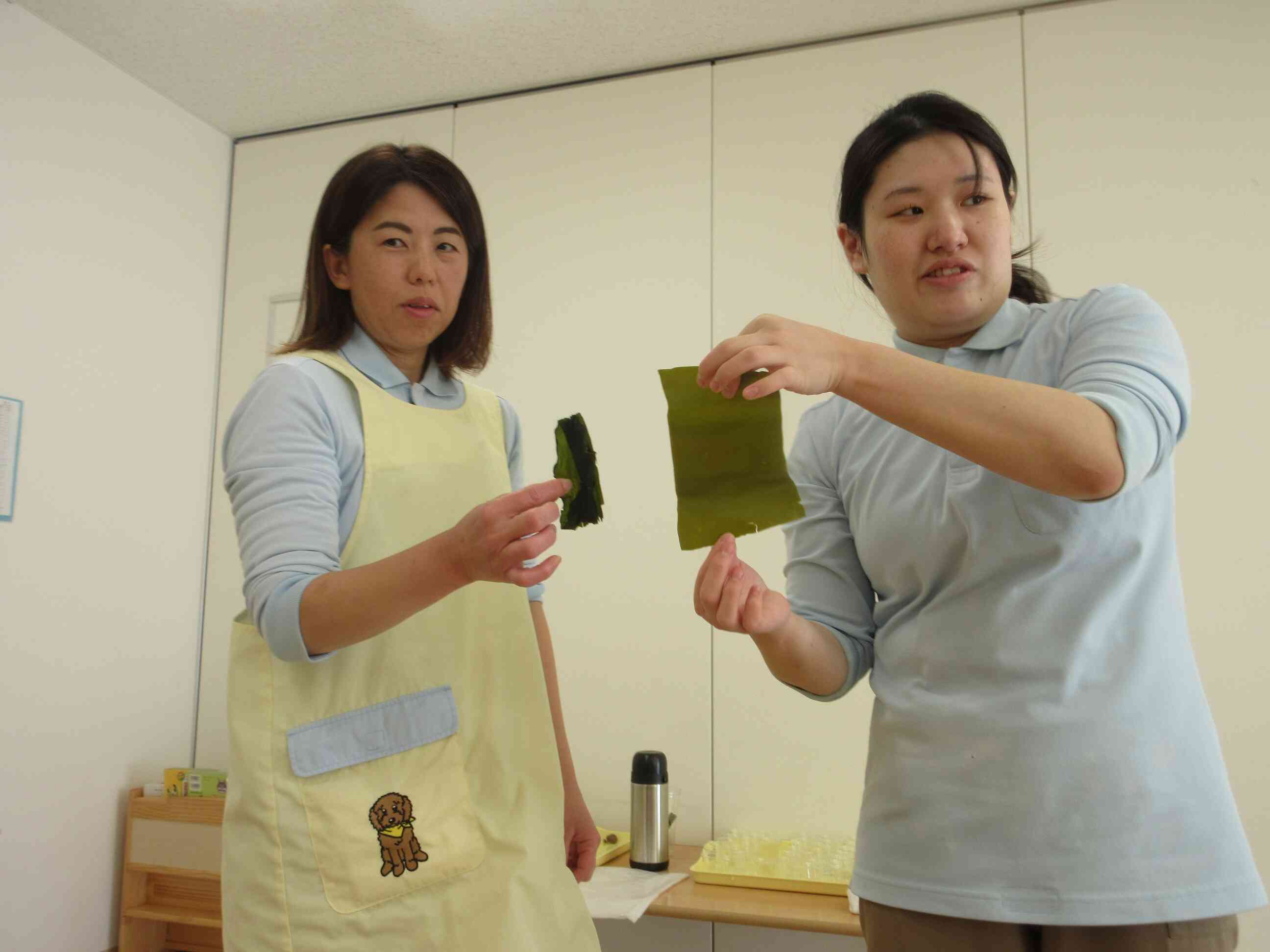 昆布は大きさが変わってびっくり!!!不思議だね!!!