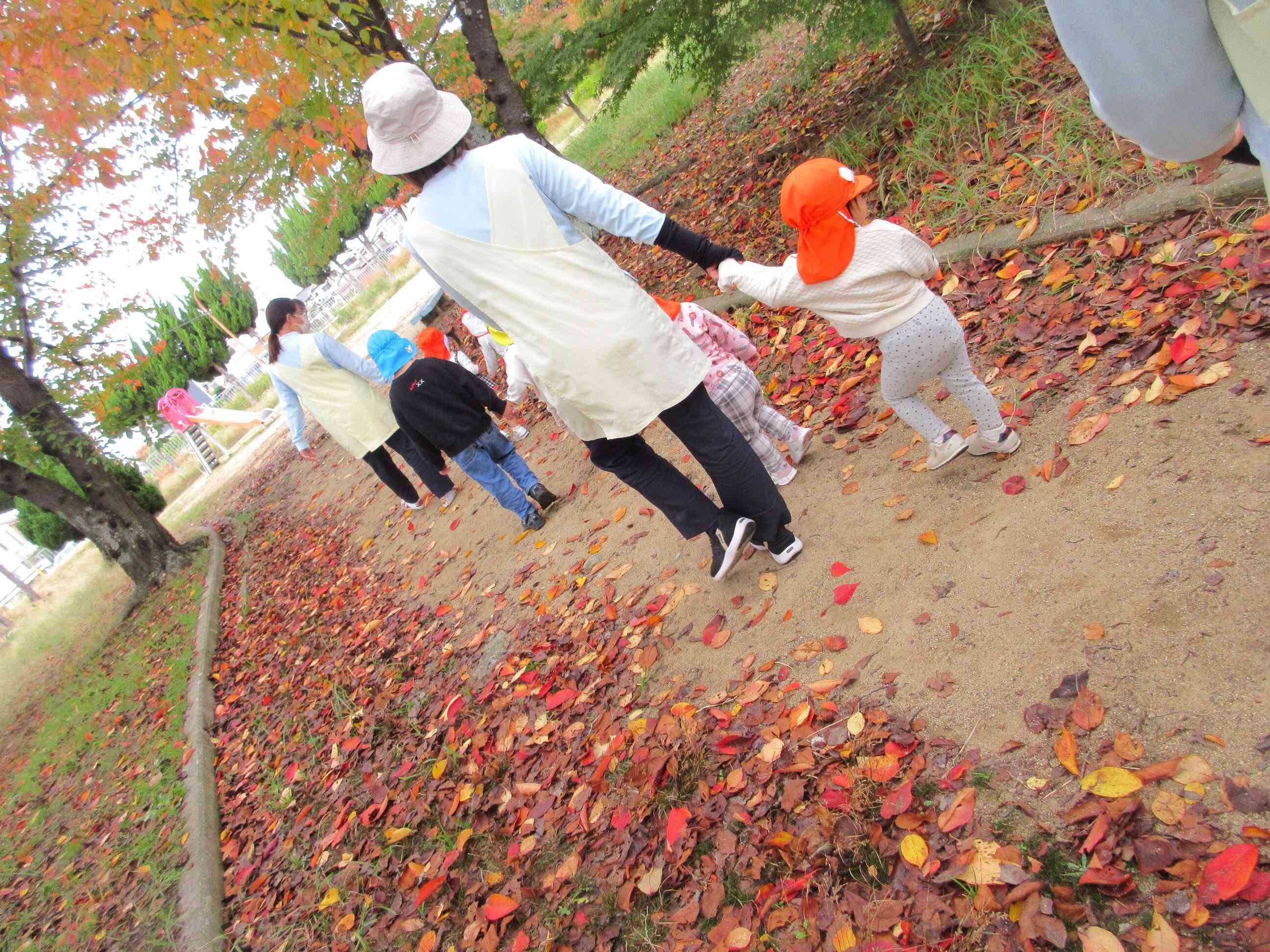 きれいな風景み～つけたっ