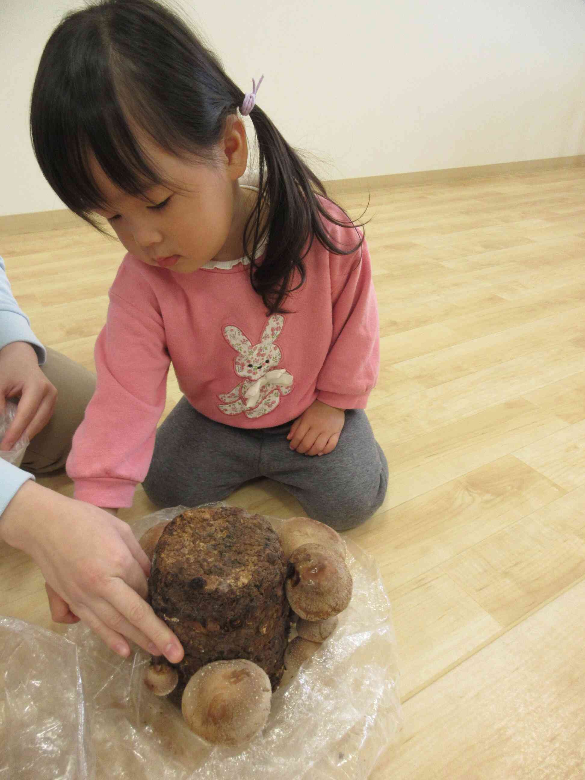 き、き、きのこ♪