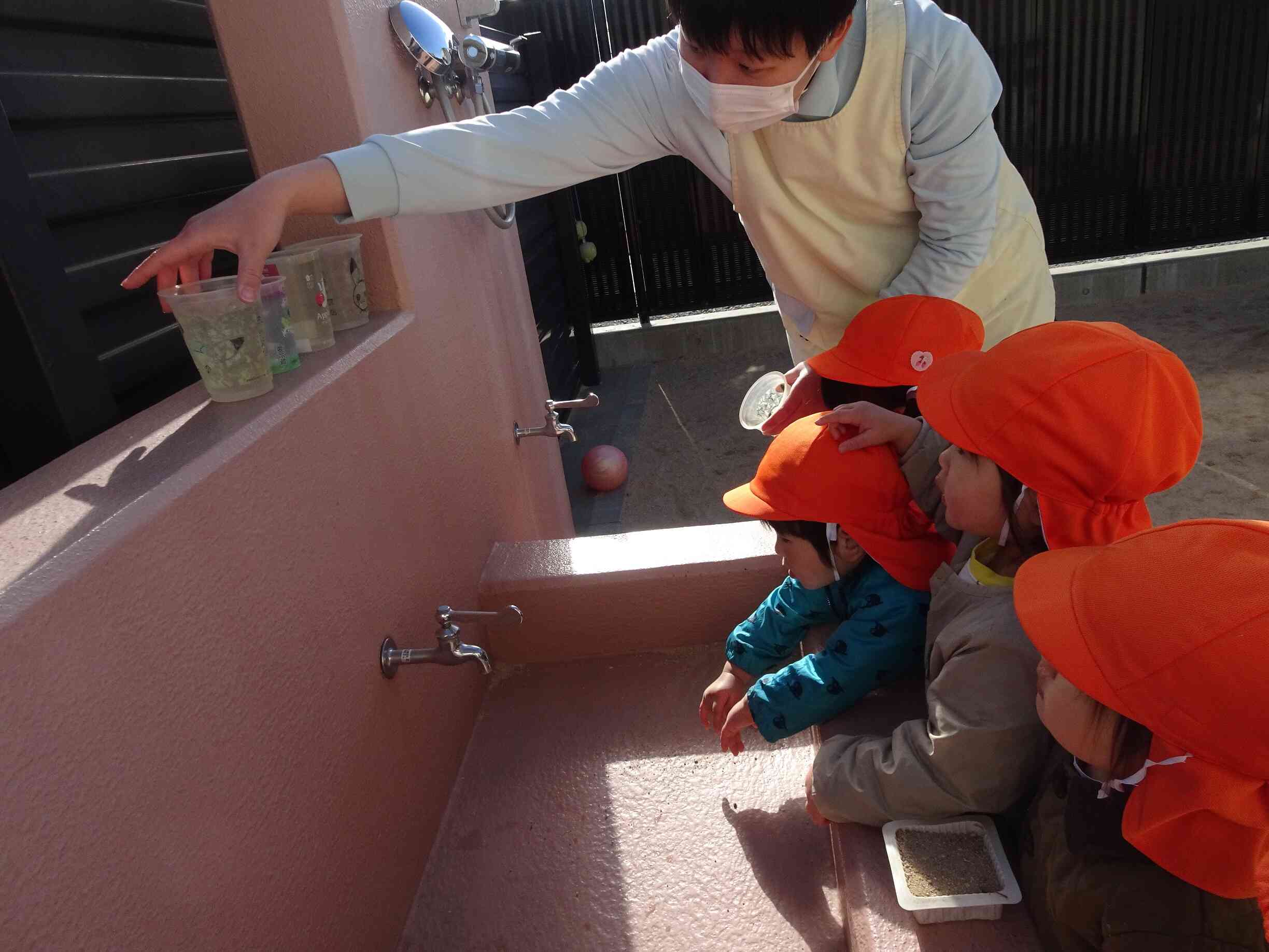 氷ができてたよ