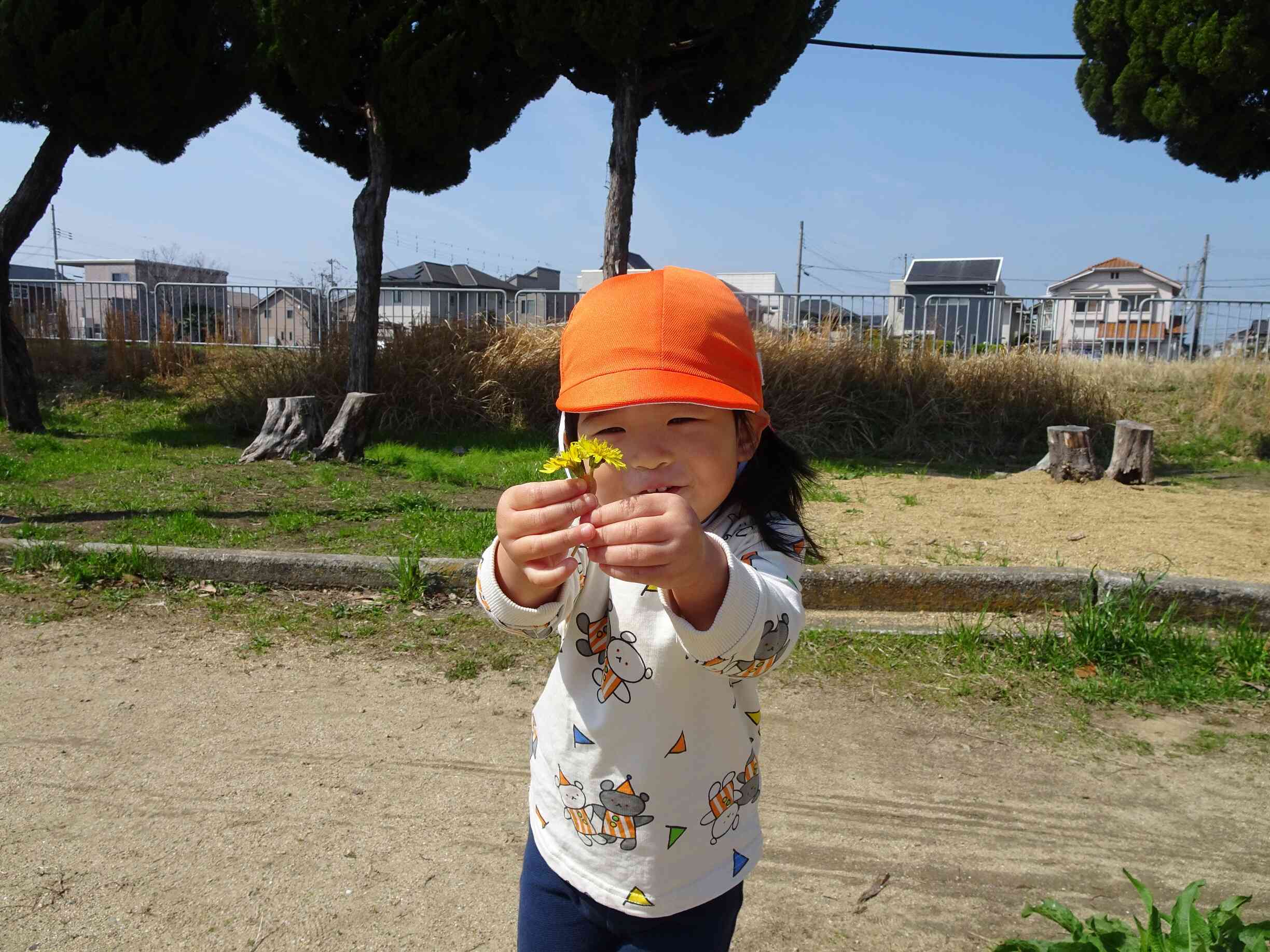 タンポポが咲いて春を感じました。