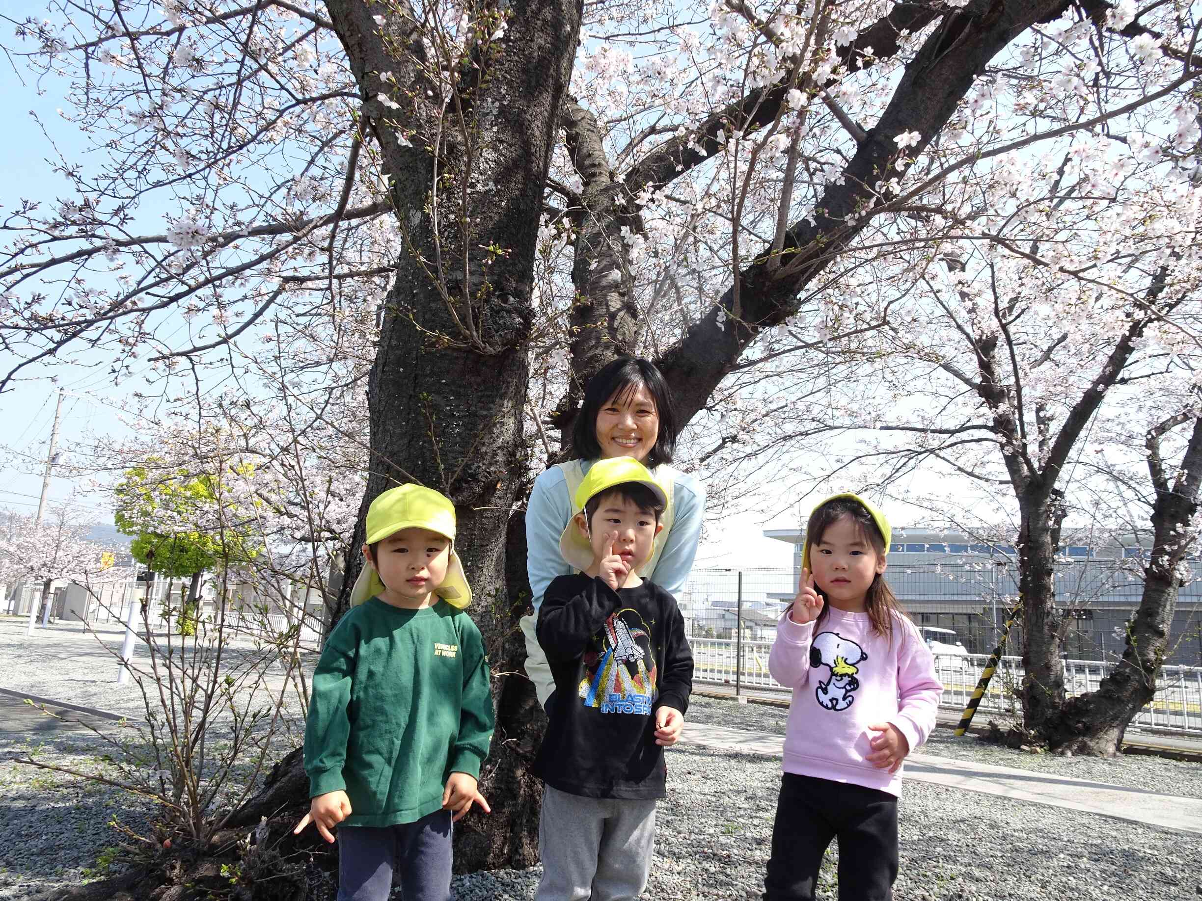 桜がきれいに咲いてるね★