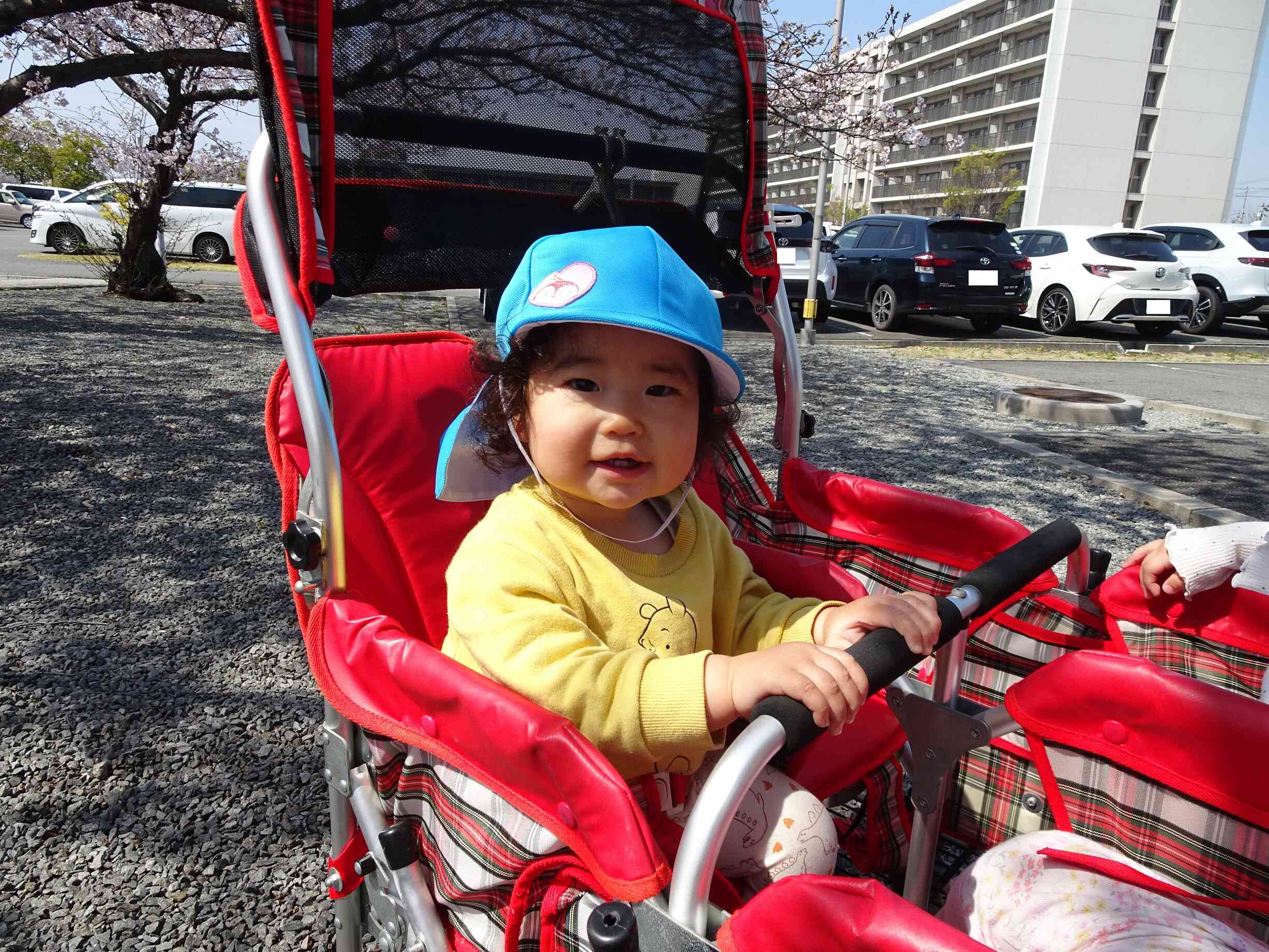 お散歩カート、気持ちいいね♡