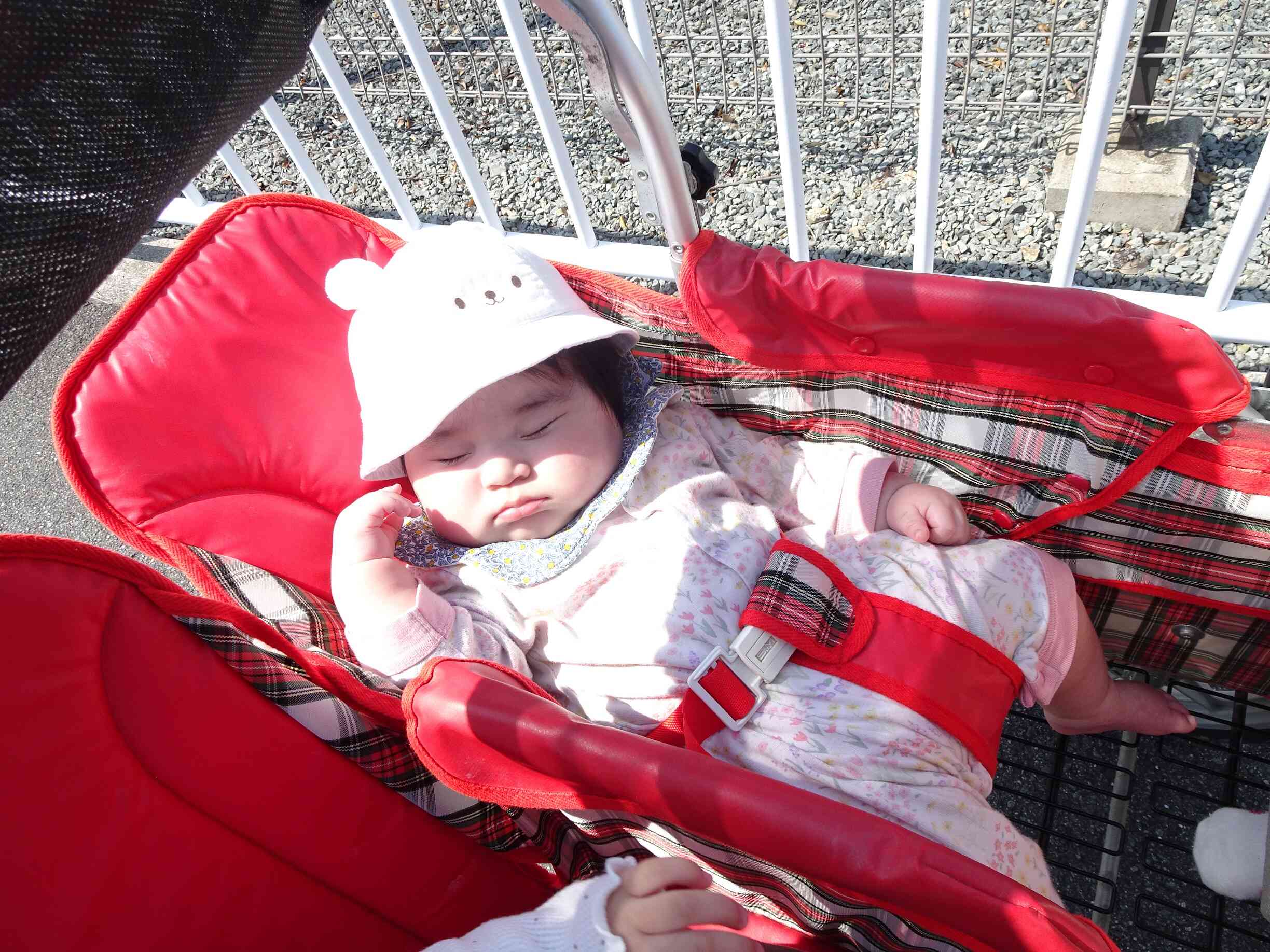 カートに揺られてうとうと・・・♡