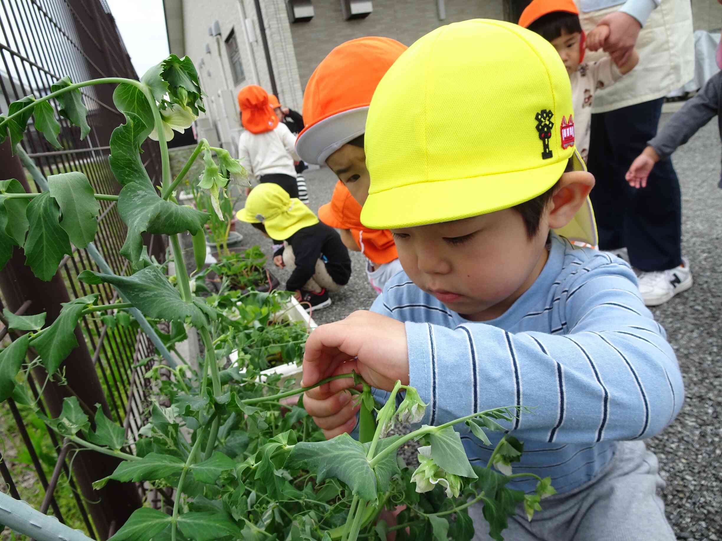 給食に・・・♡