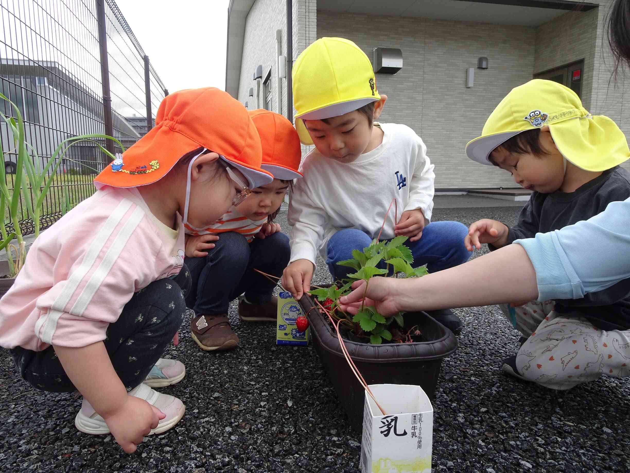子どもたちの愛情ですくすく成長中♡