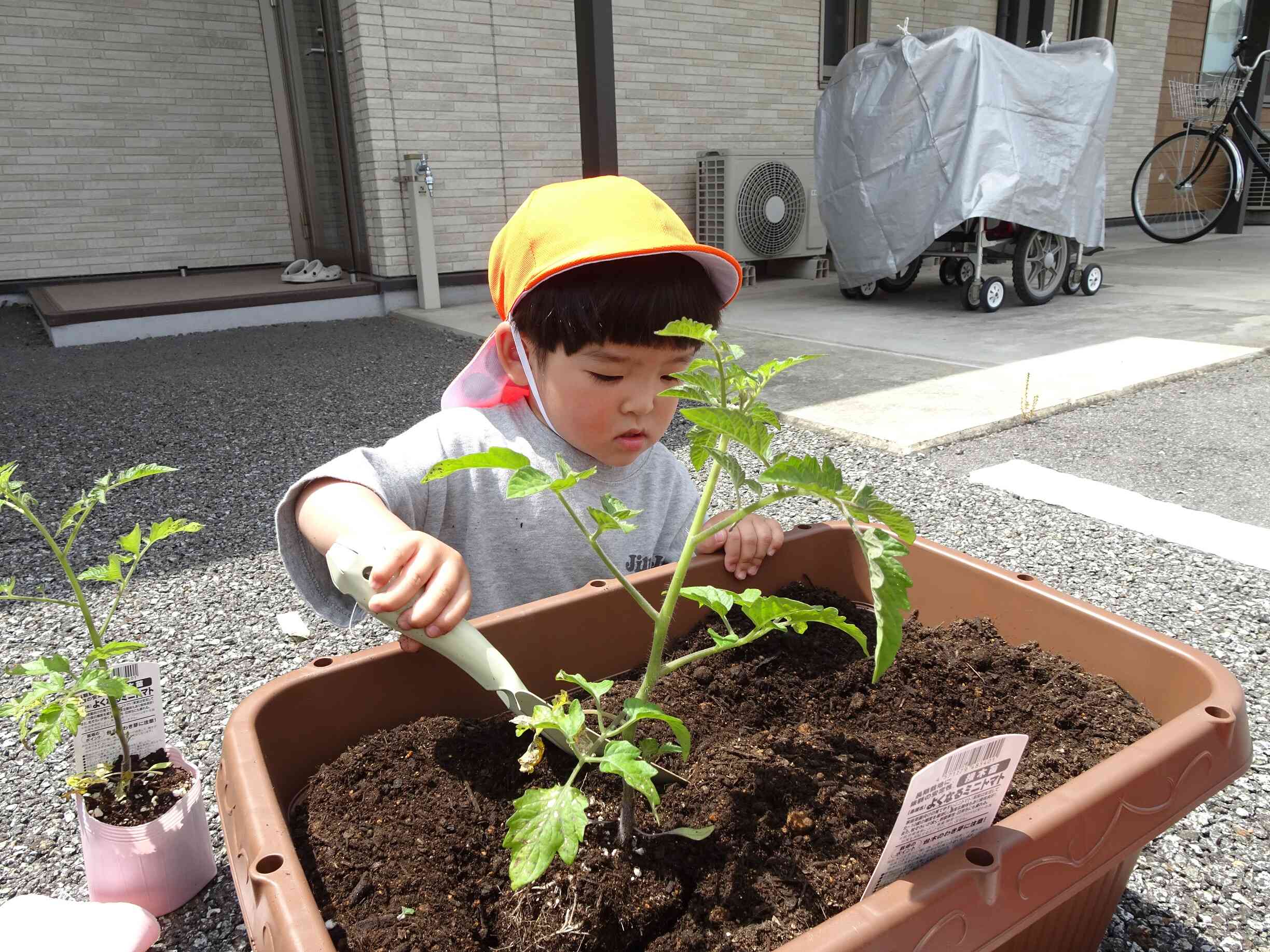 ここに苗を植えようかな☆