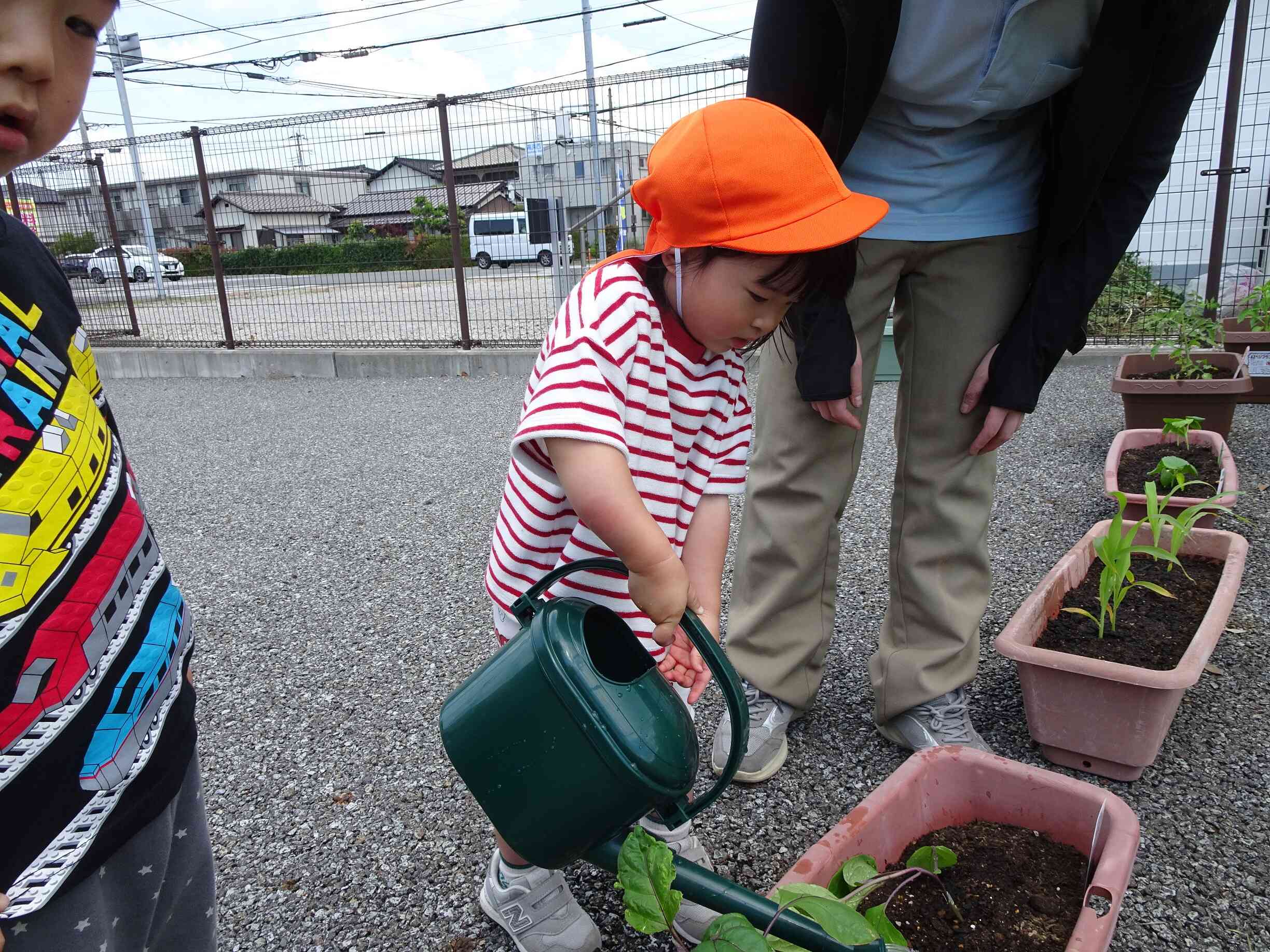 大きくなぁれ！！と願いを込めてお水をあげたよ♪