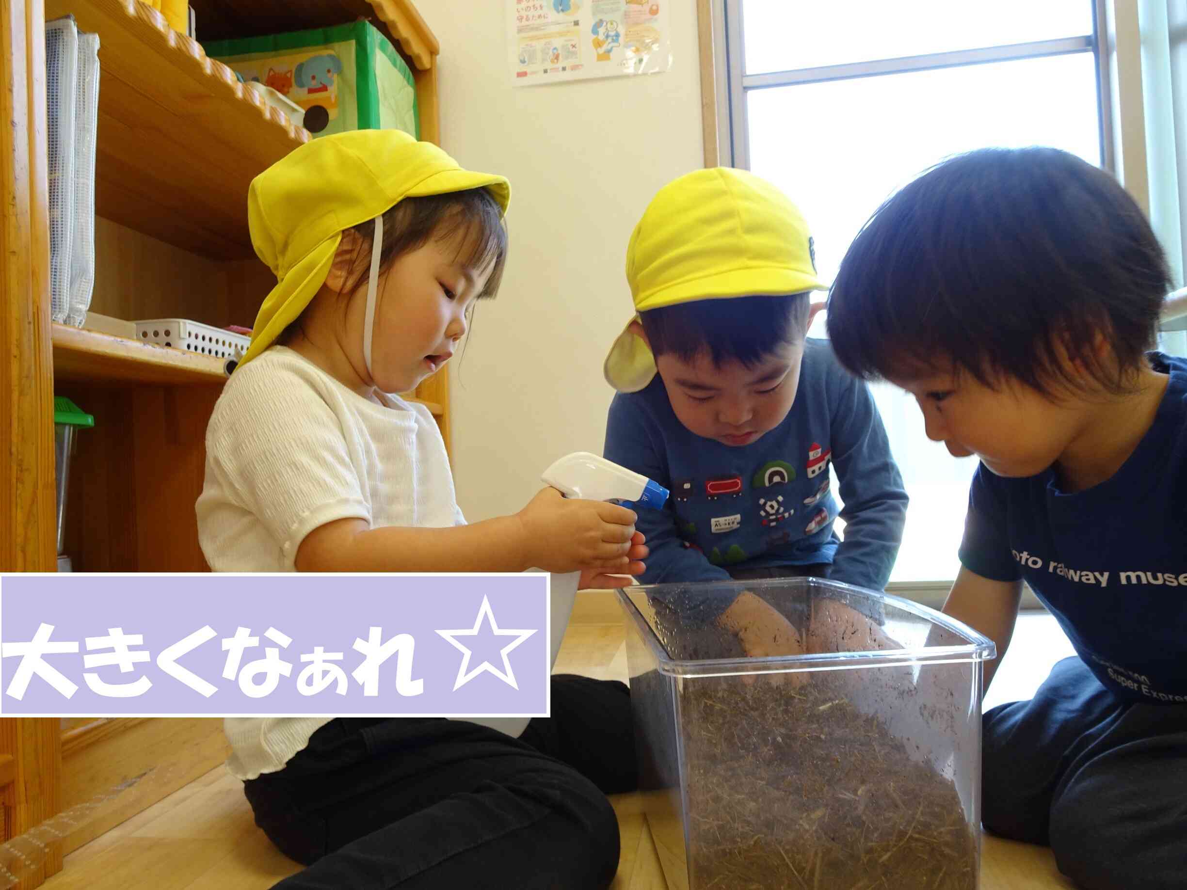 毎日観察中～♡