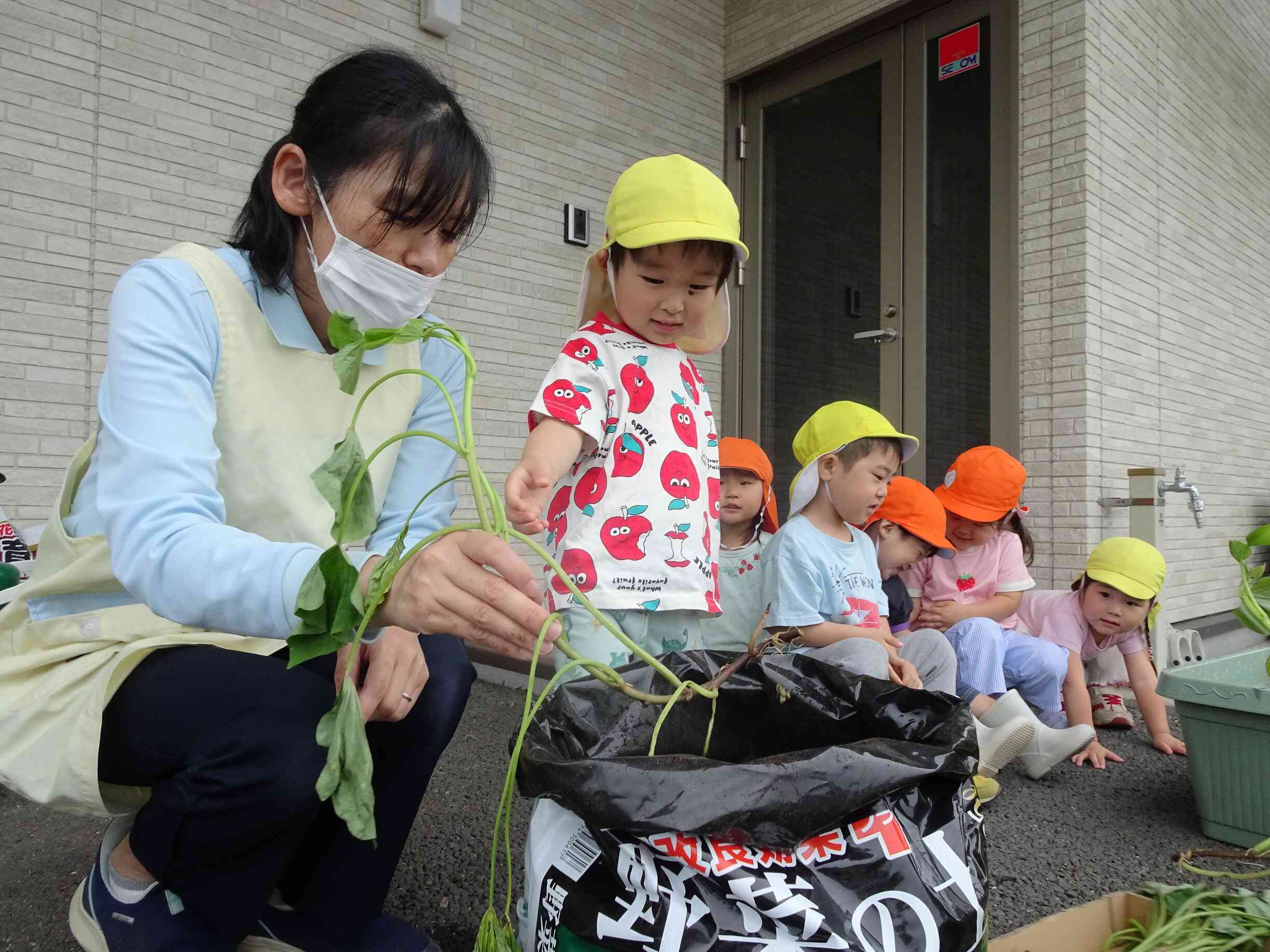 植物に触れて貴重な経験だね♪
