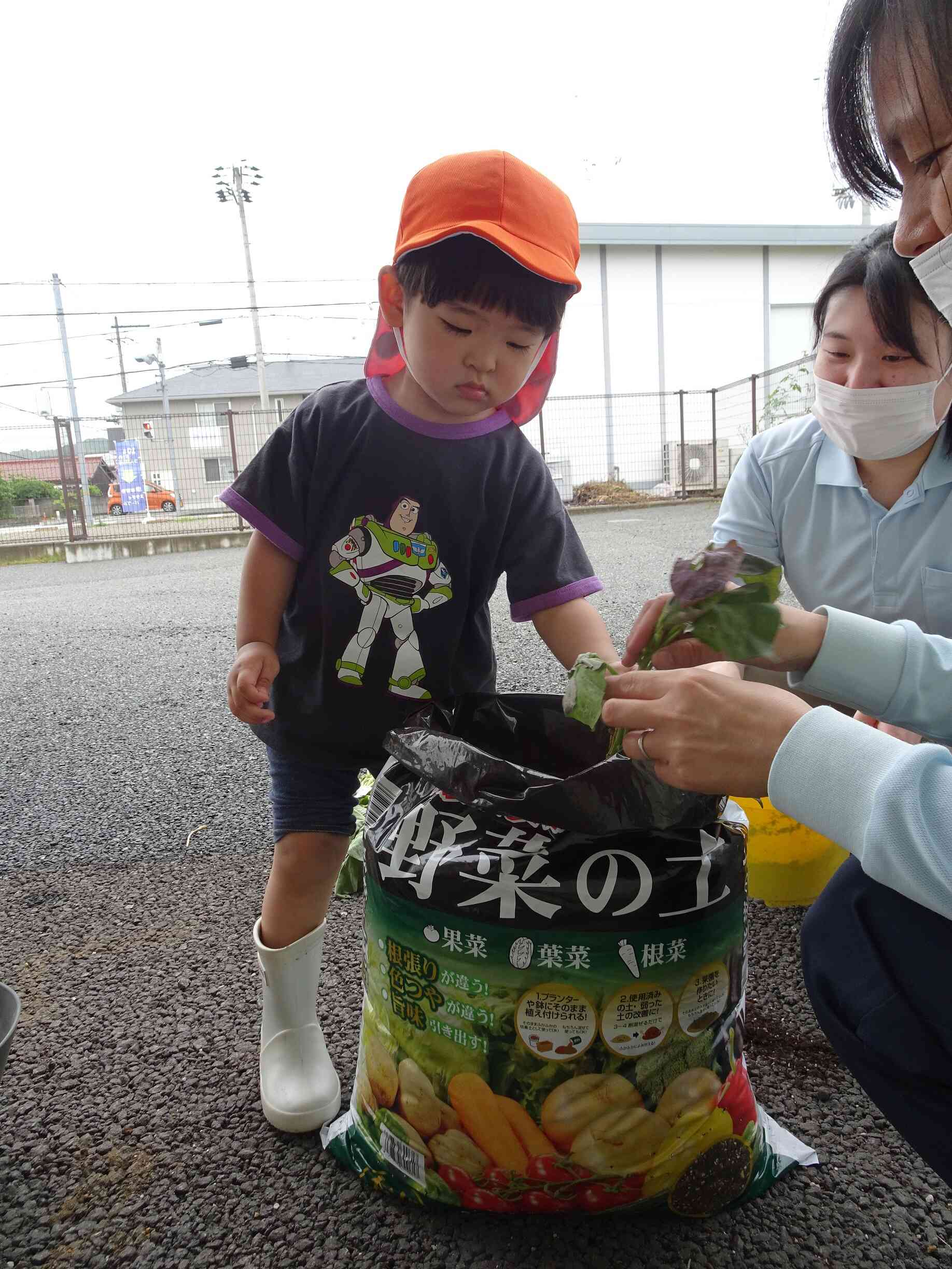 美味しい野菜ができますように♡