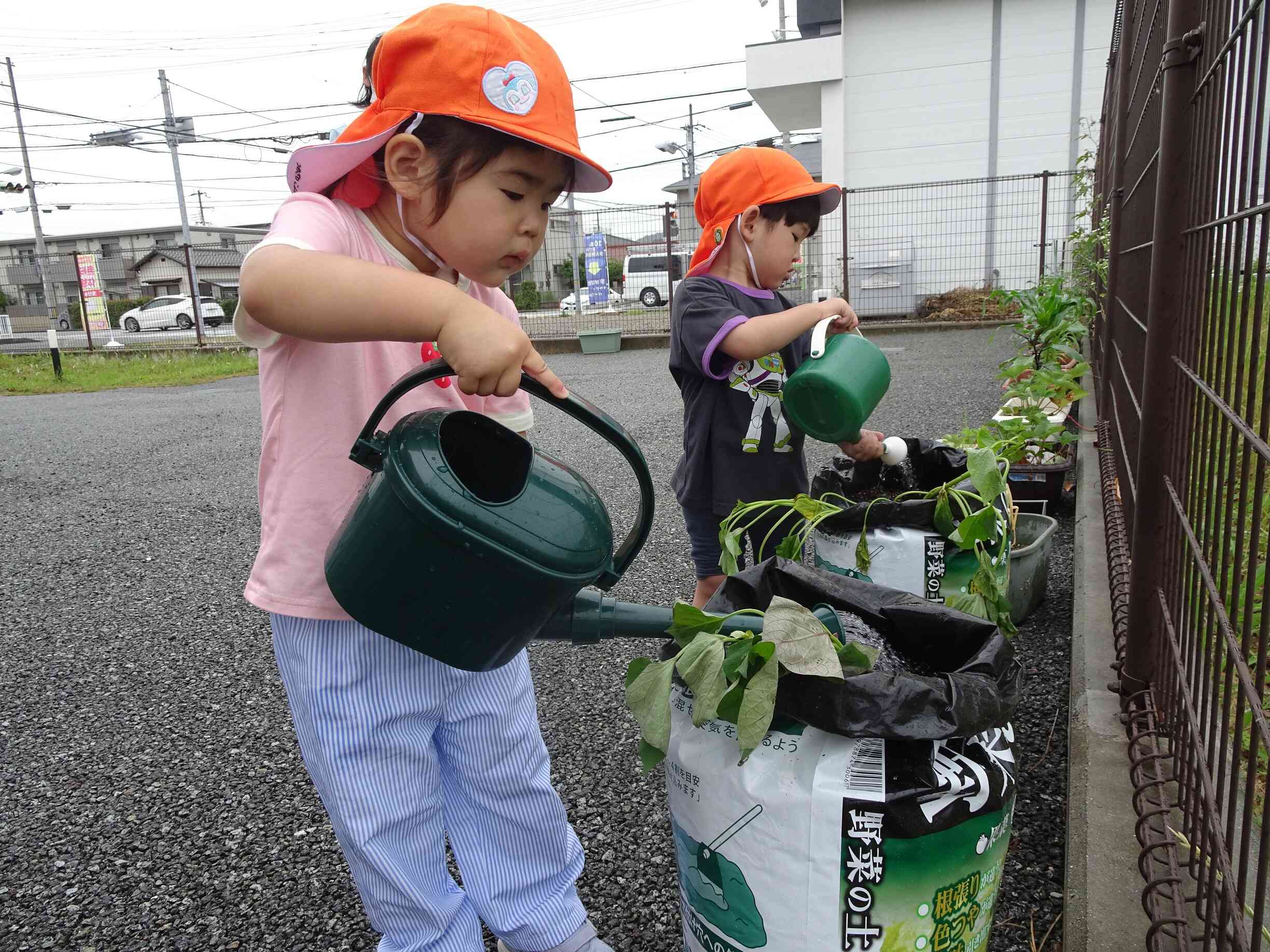 毎日お水やりは任せてねッ★