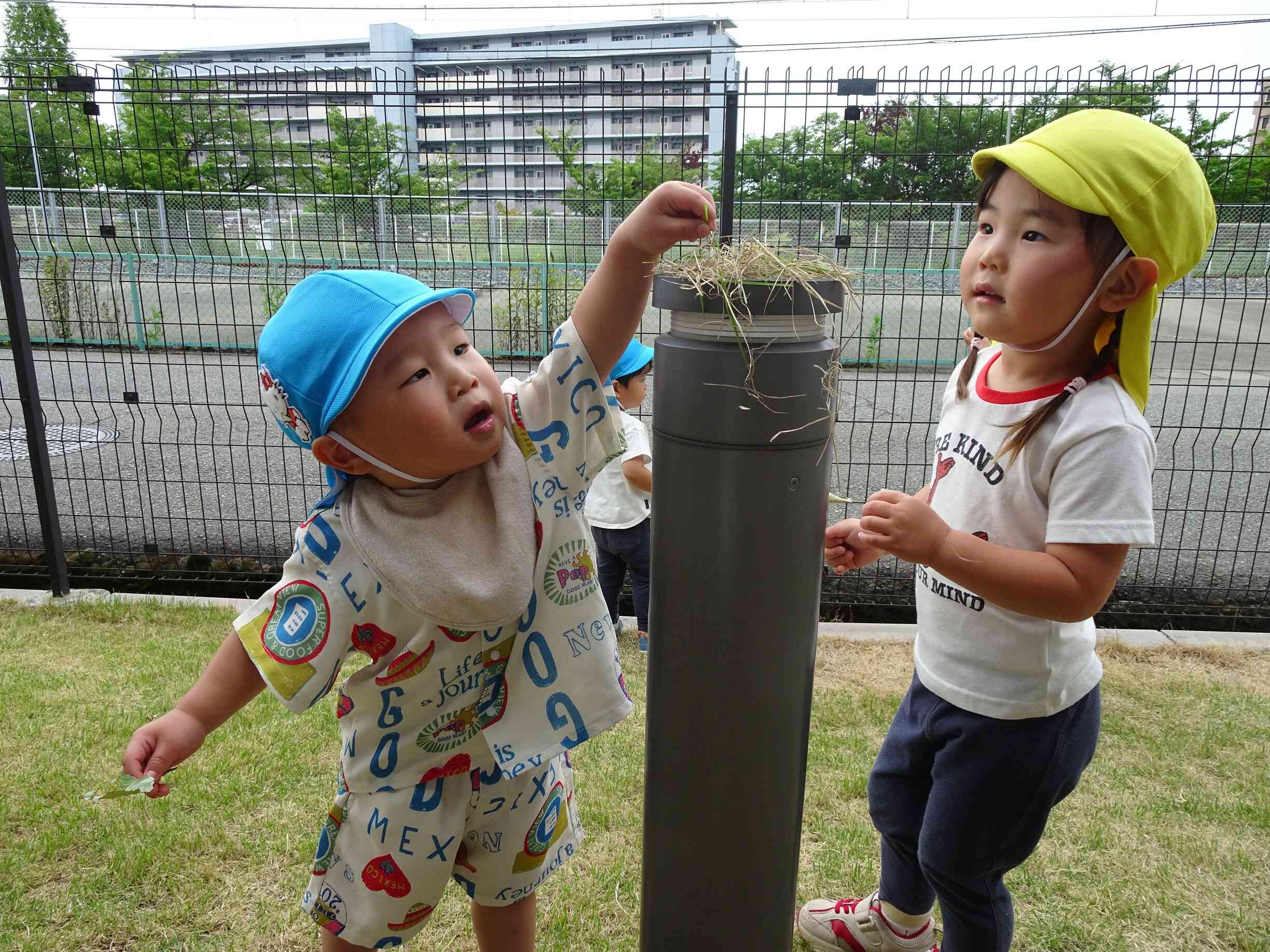 芝集めが始まった子どもたち♡