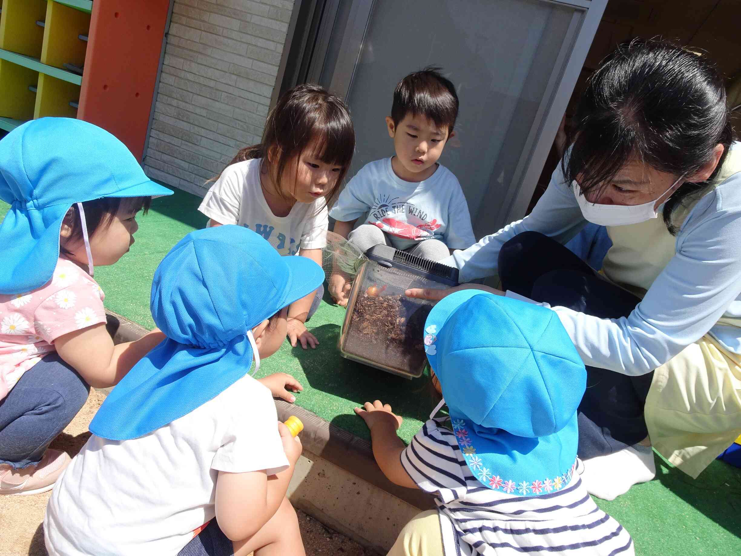 もぞもぞもぞもぞ…動いてくれたカブトムシさん♪