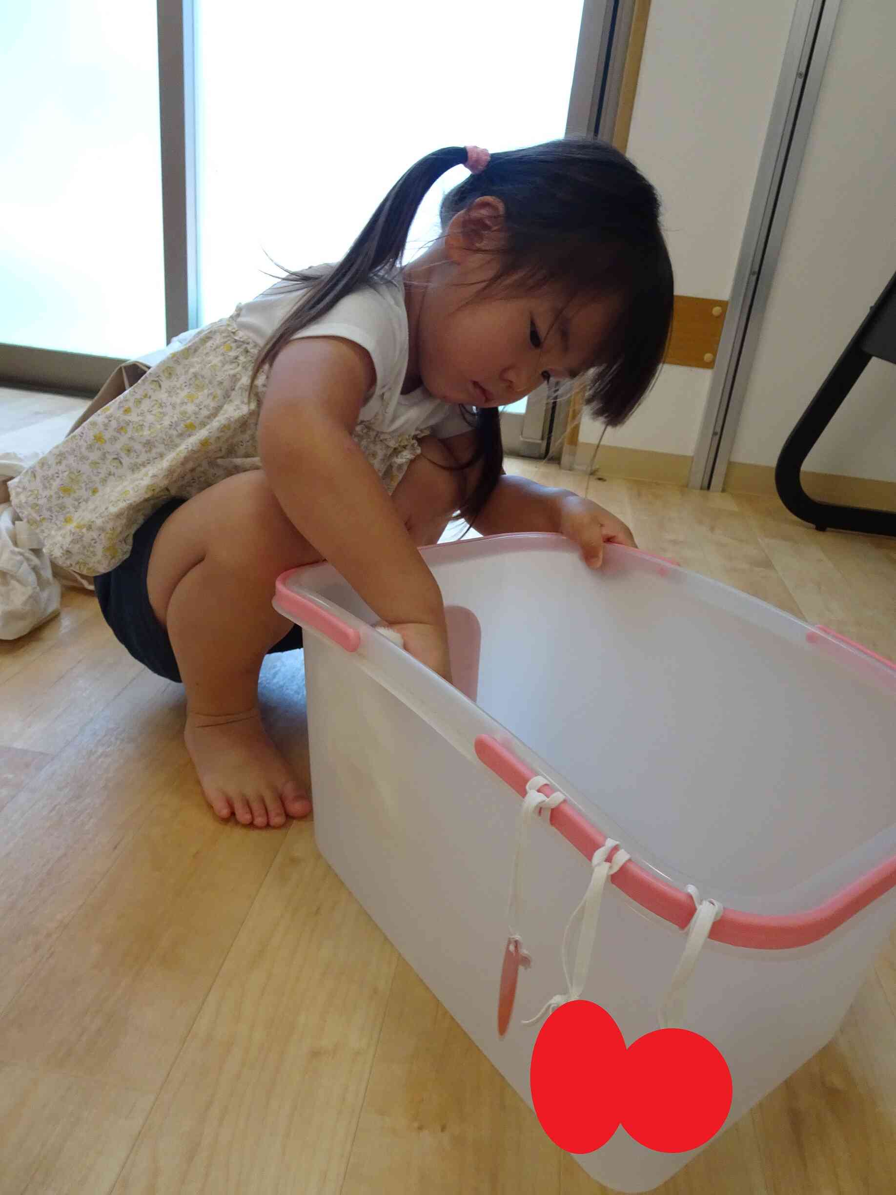 綺麗に★