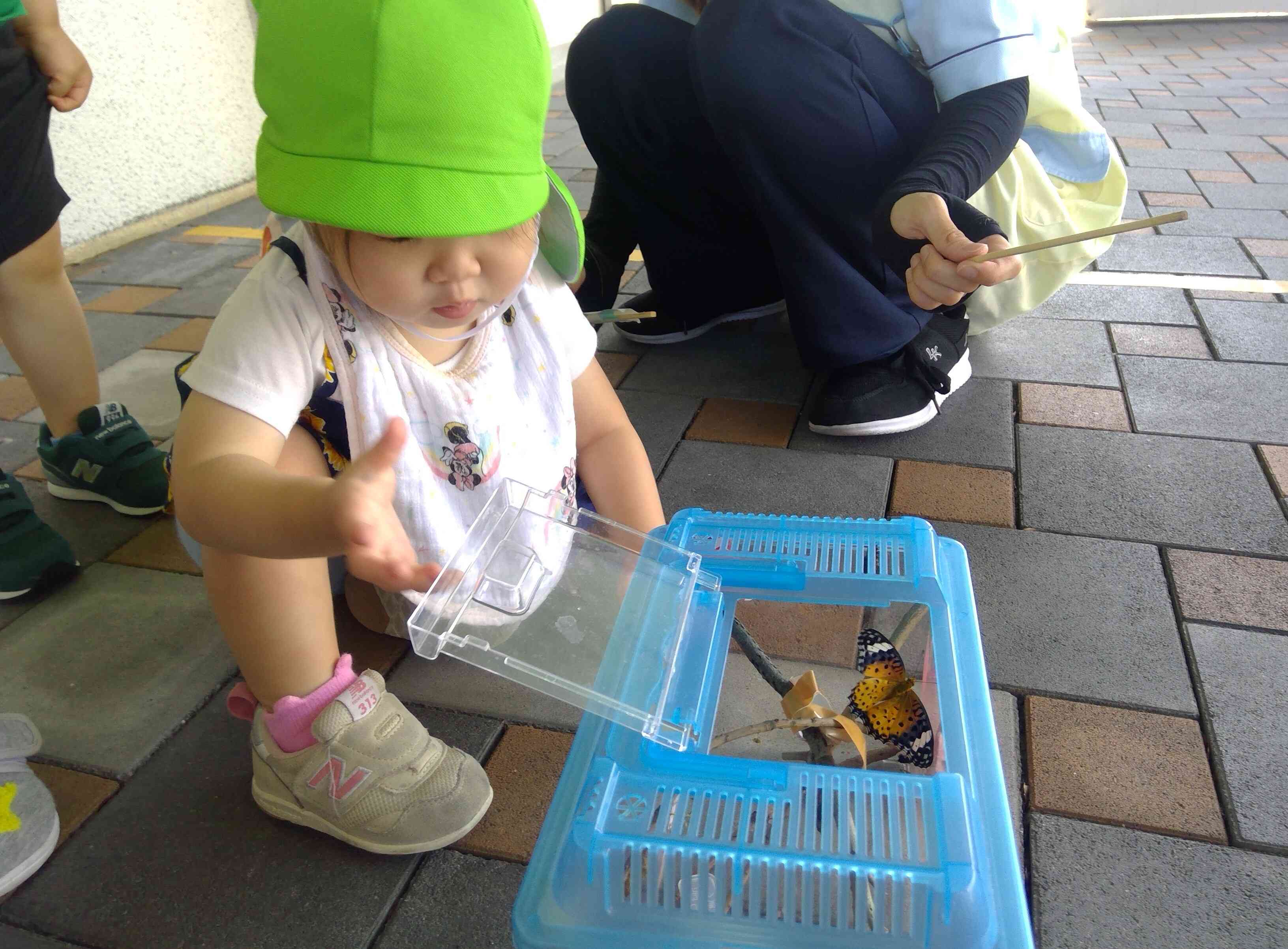 羽を広げて、見せてくれましたよ。