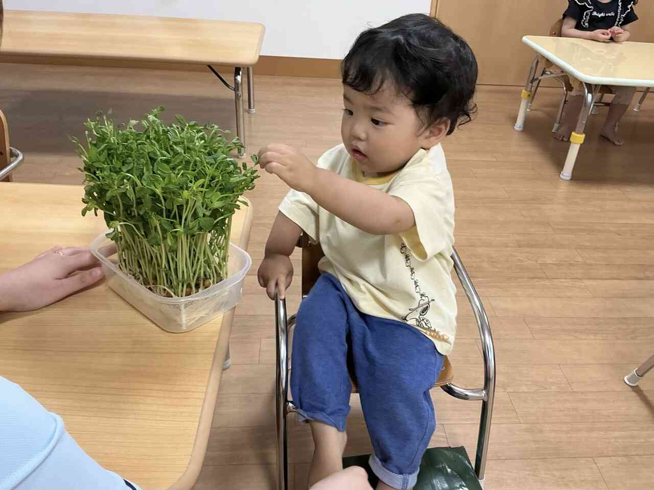 触ってみたよ☆