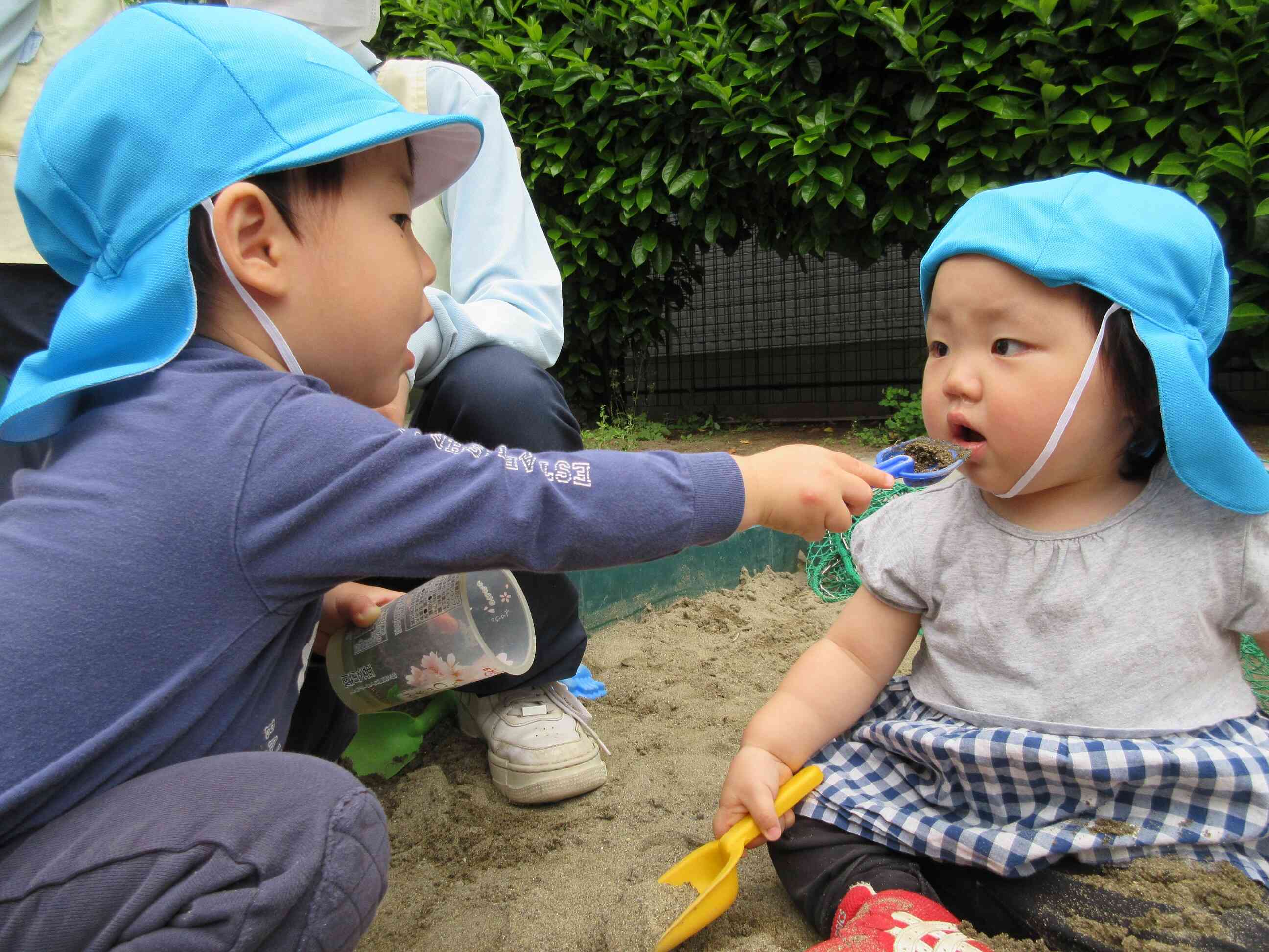 戸外遊び：3クラス合同