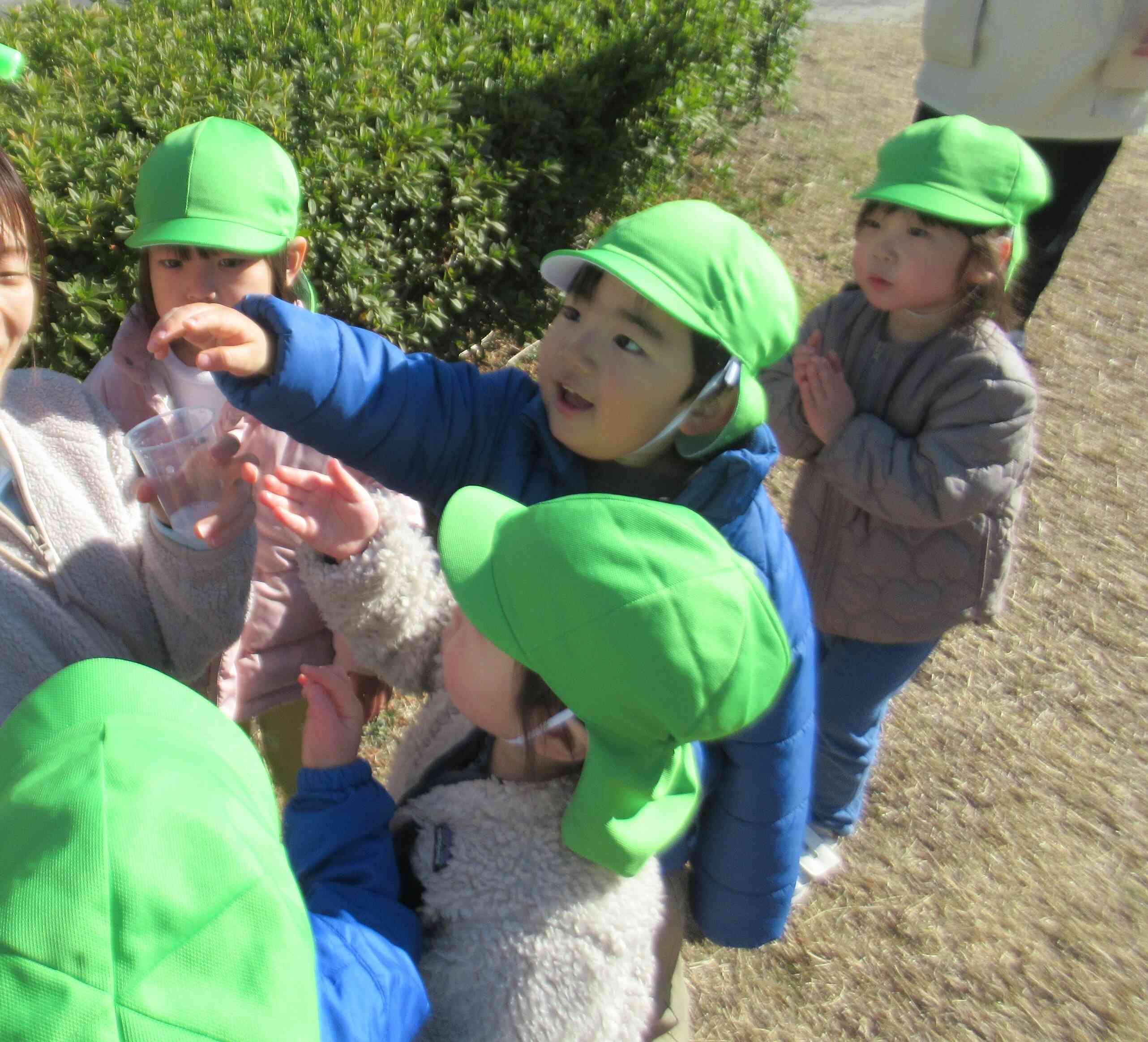 散歩～うさぎ組～