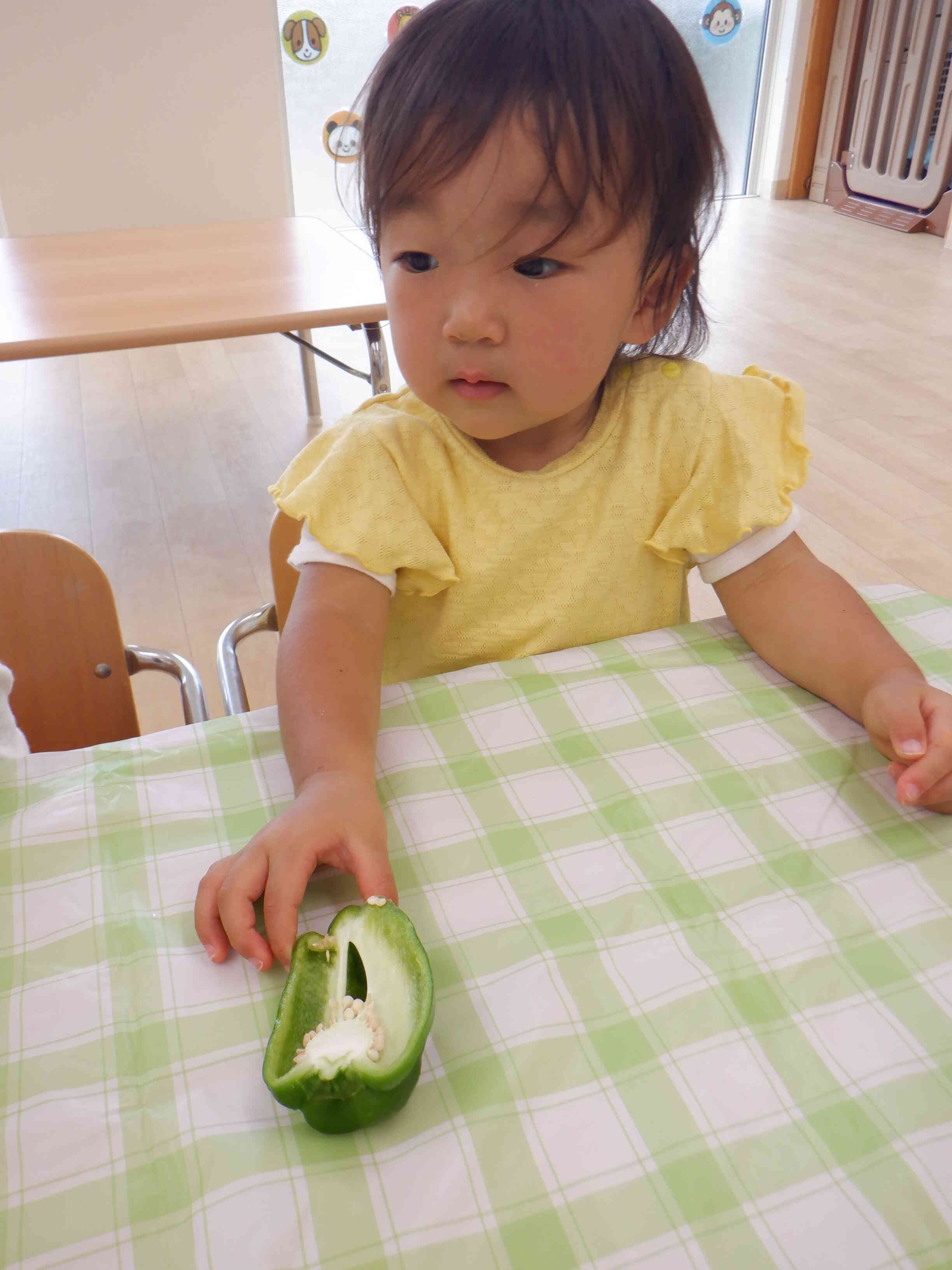 断面を見て、匂いを嗅いでみました。