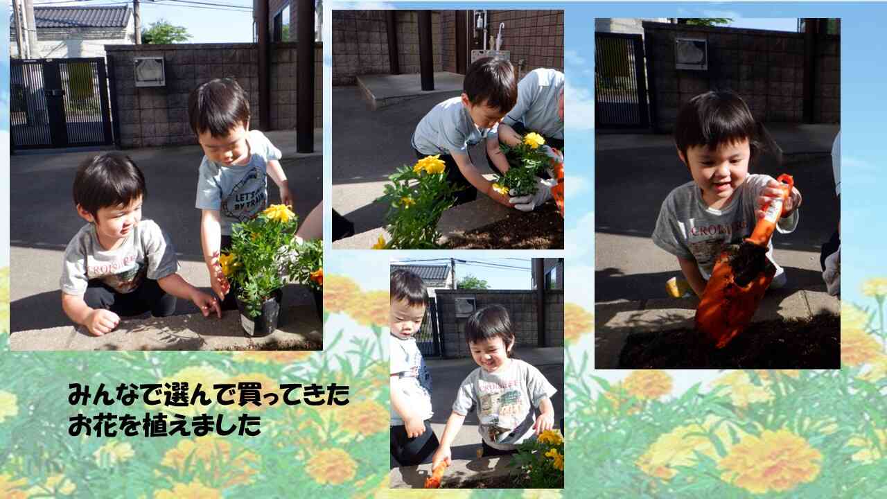 花壇のお手入れ