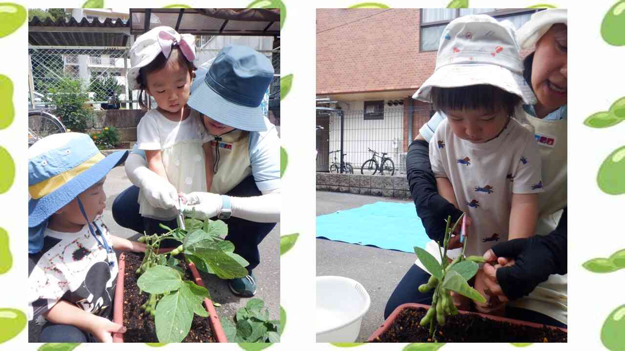 お友だちの様子をみて