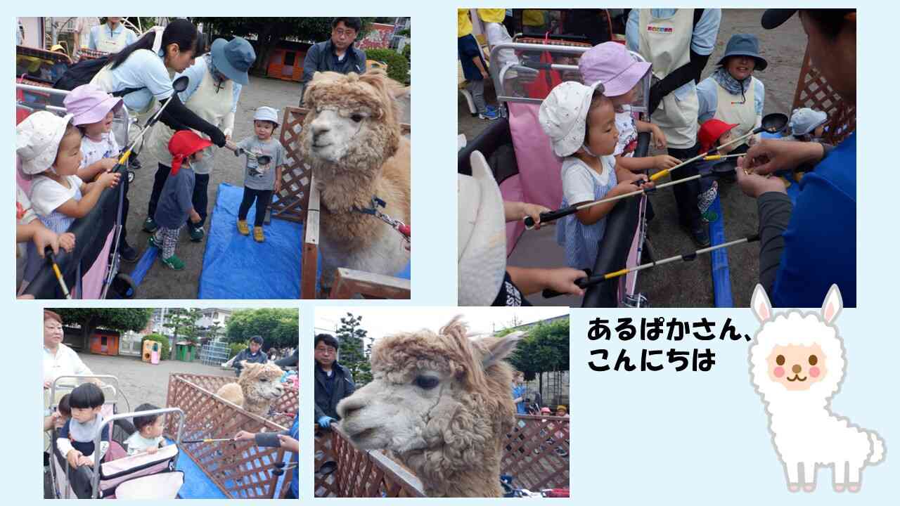 えさやり体験