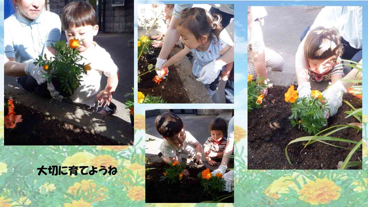 大きくなってね。