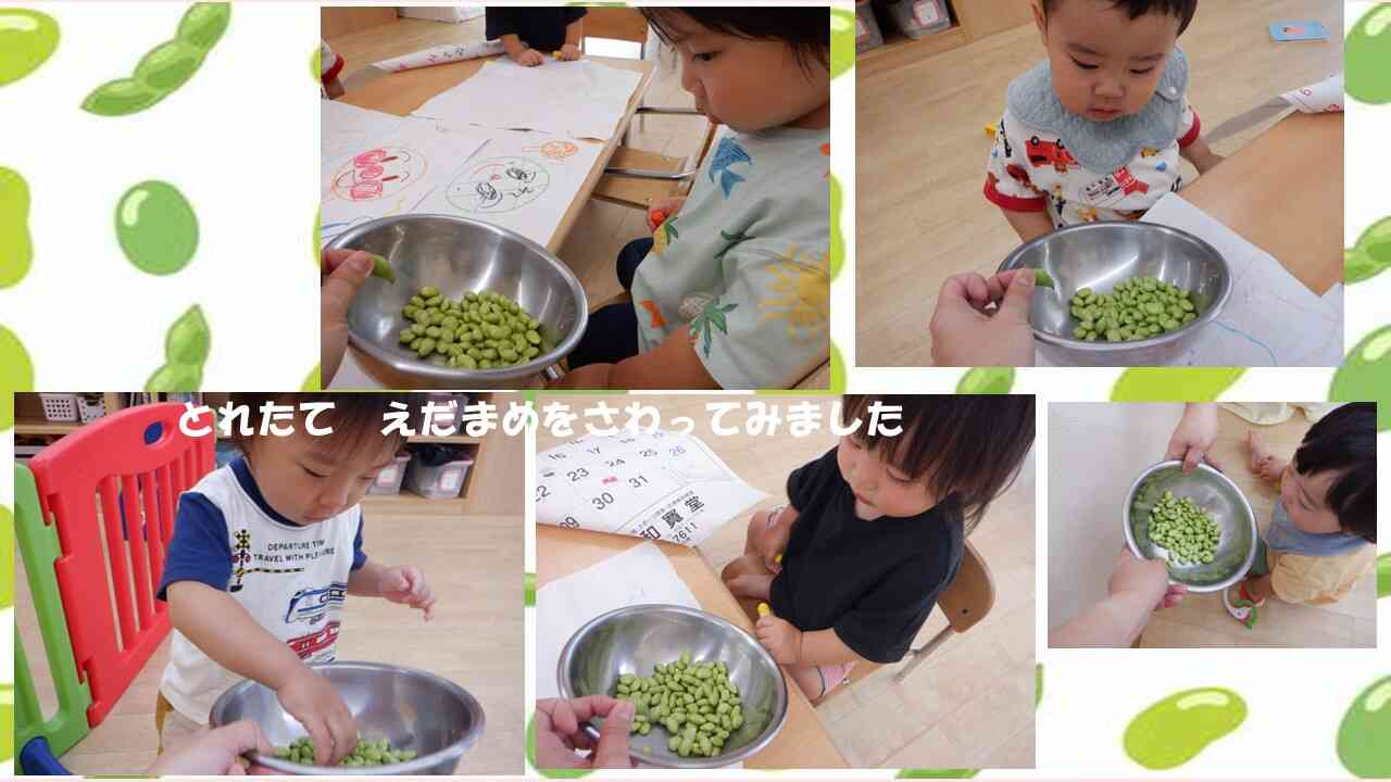 あひる組さんも興味津々