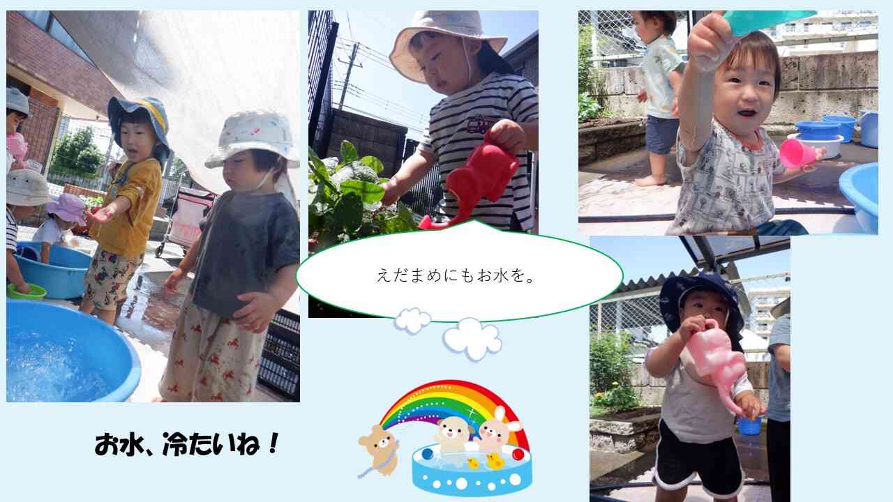 枝豆のお世話も忘れません