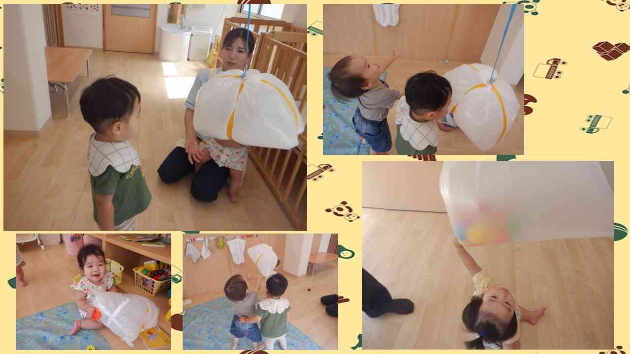 ボール入りも発見!