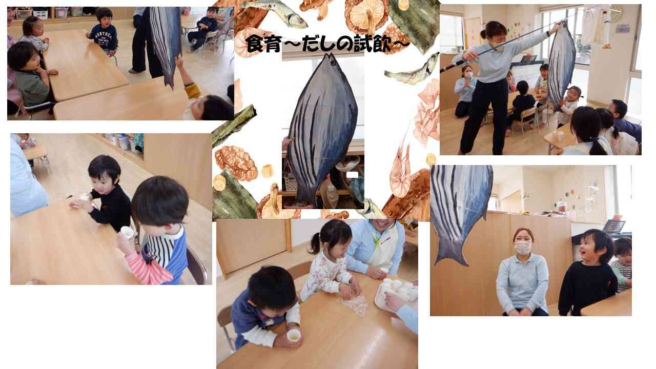 大きなカツオの登場です