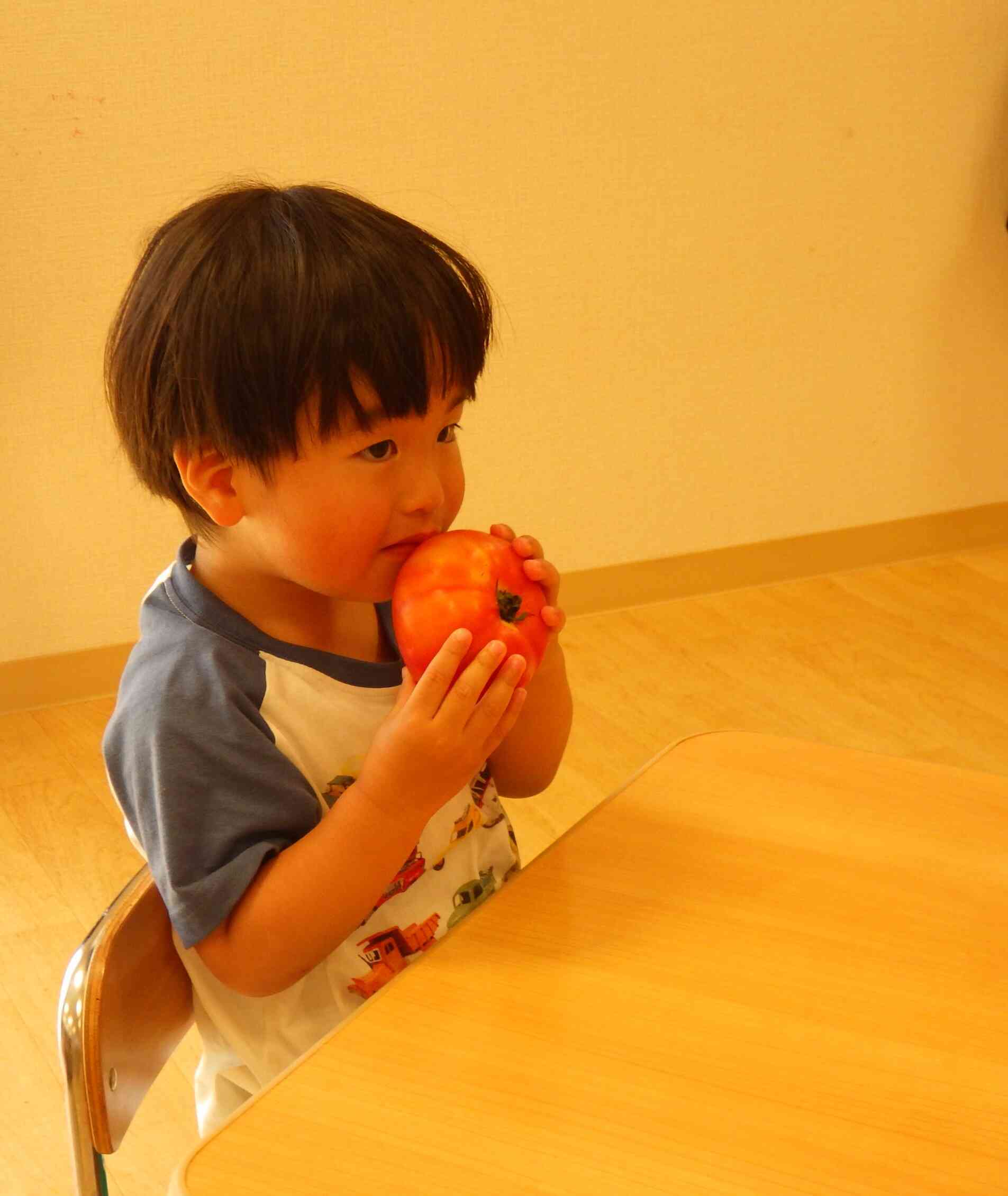 トマト、おいしそう！　食べたいな？　「いい？」