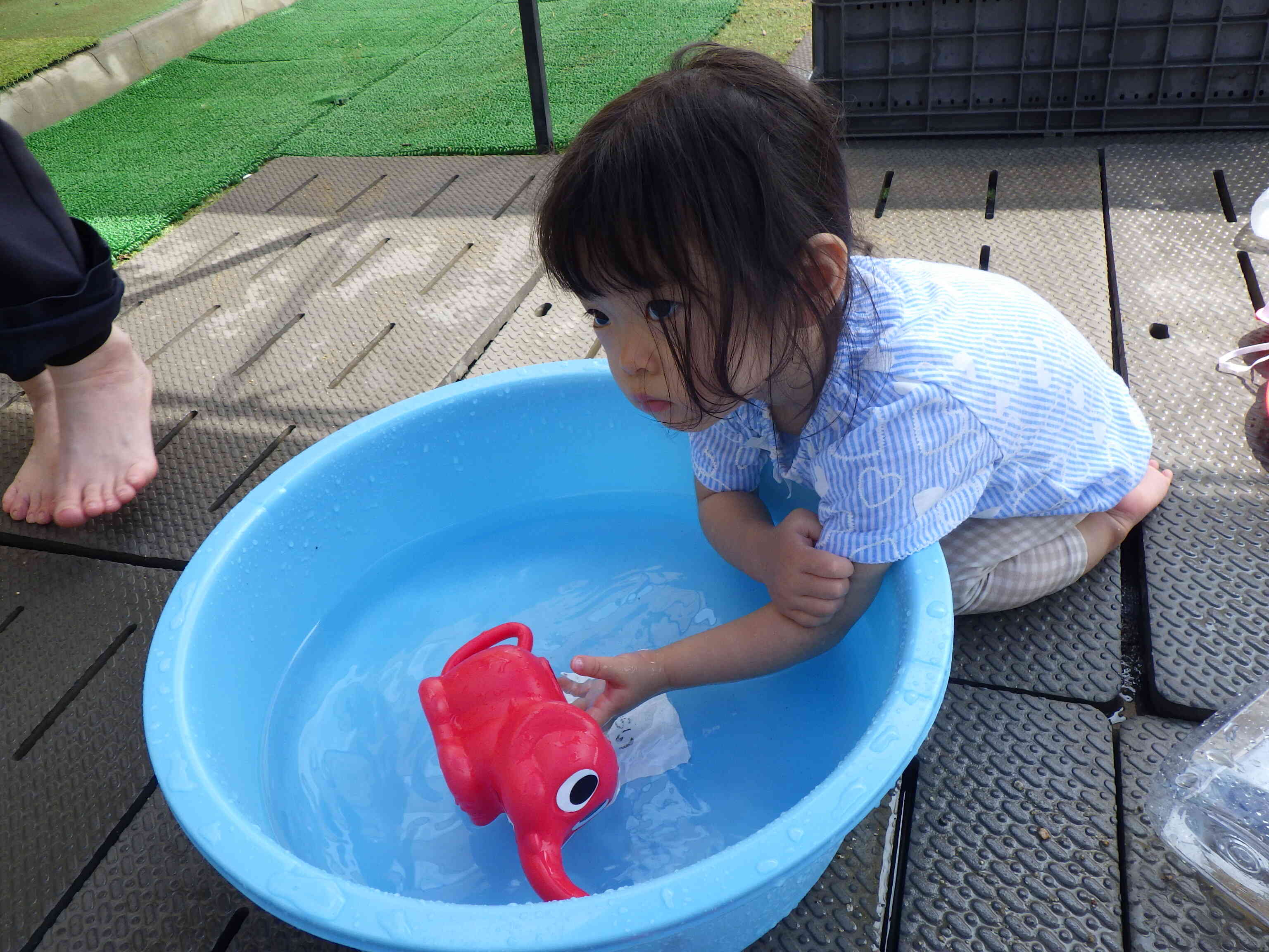タライに入れる水の量を少し増やしました。お気に入りのジョウロに、水が入れられるようになりました。