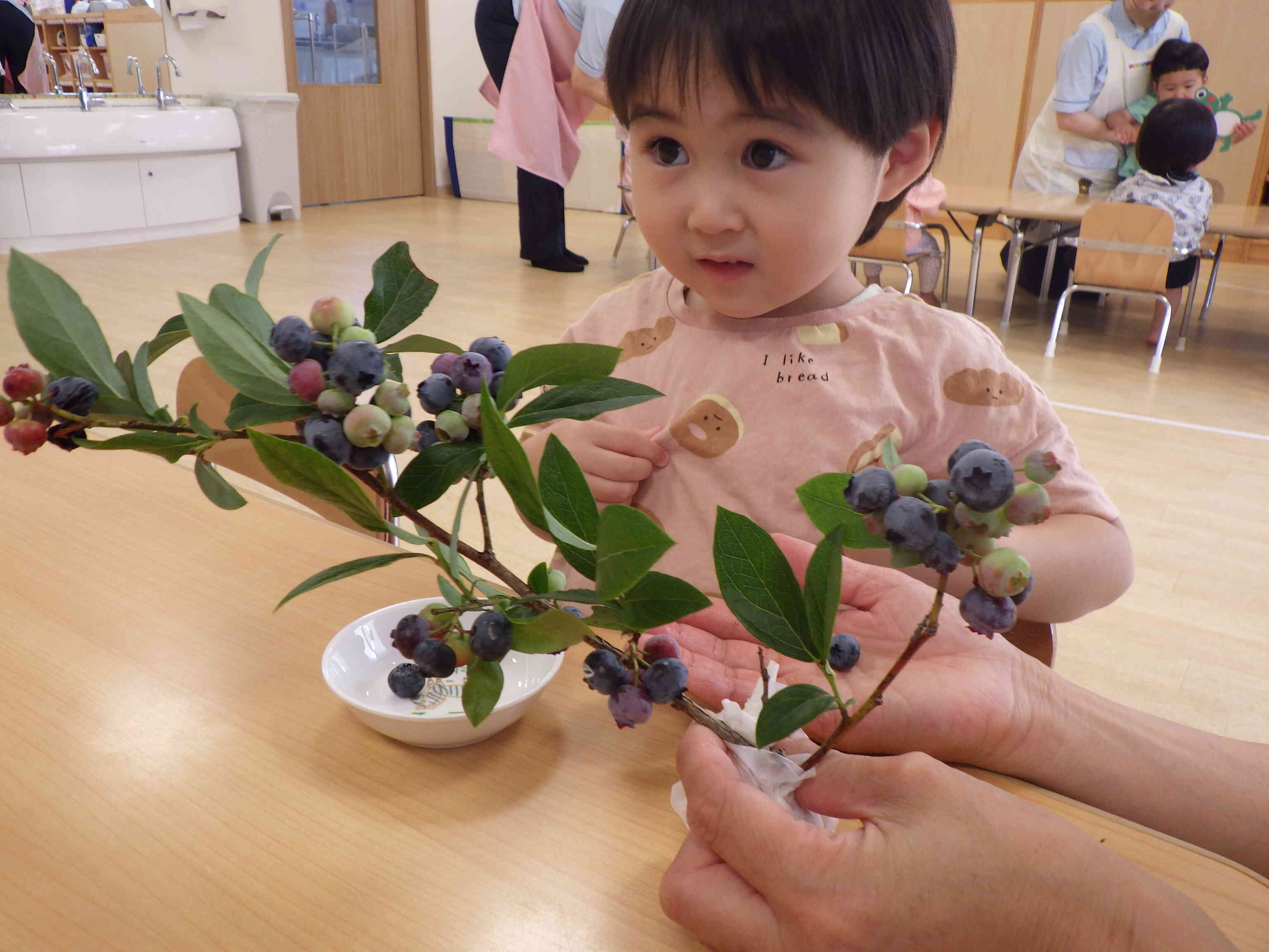 えっ？　さわっていいの？　とっていいの？