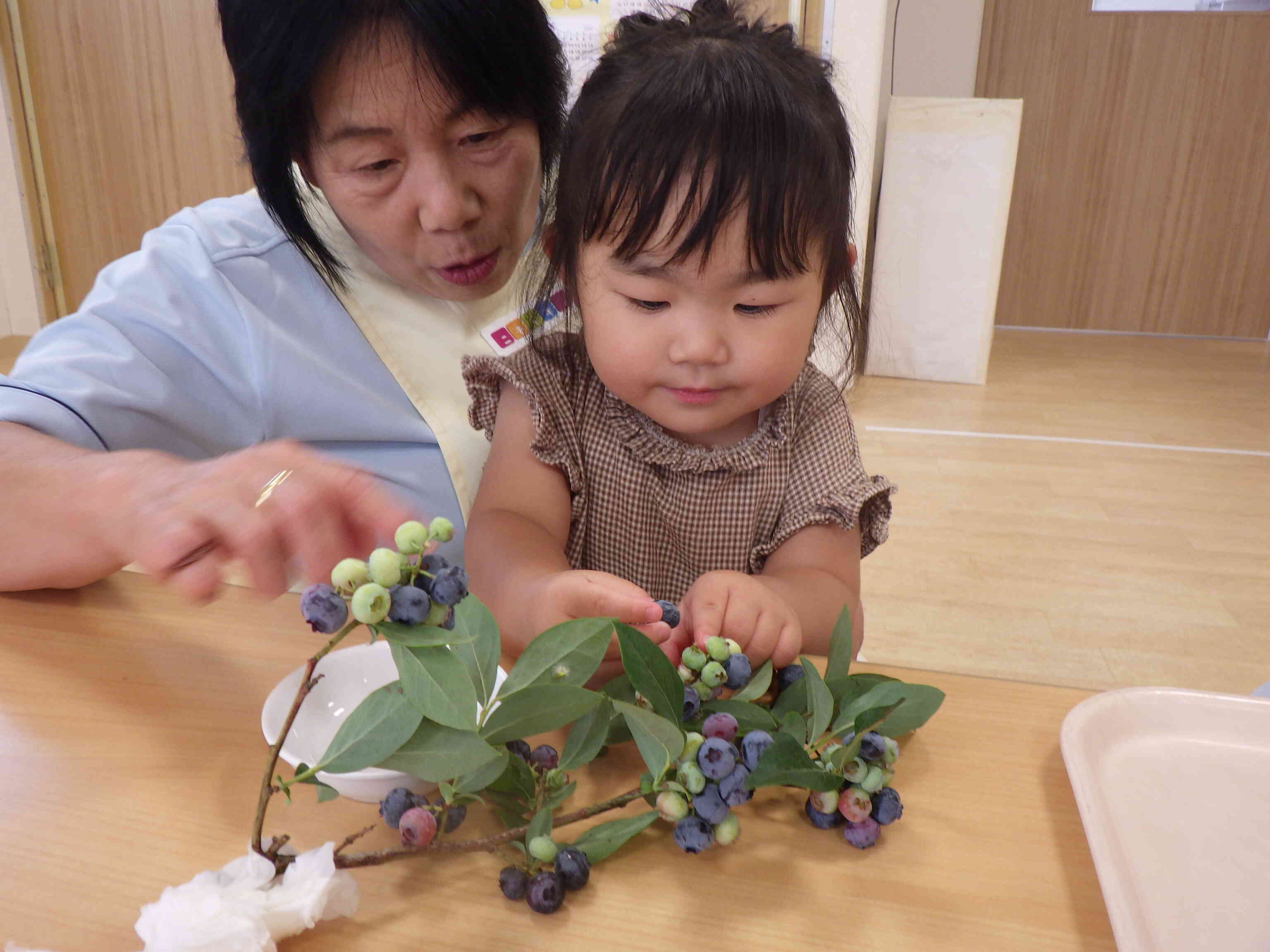「むらさきだね」「こっちは、かたいね」