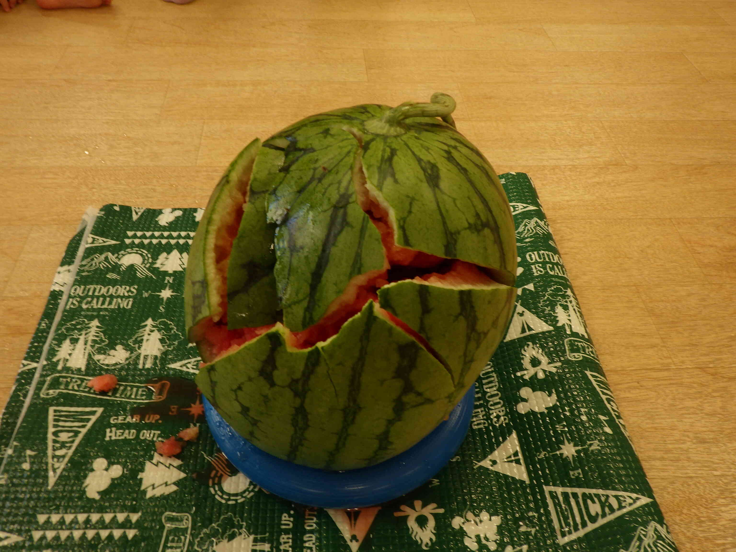 うわ～！　われた！　美味しそう！