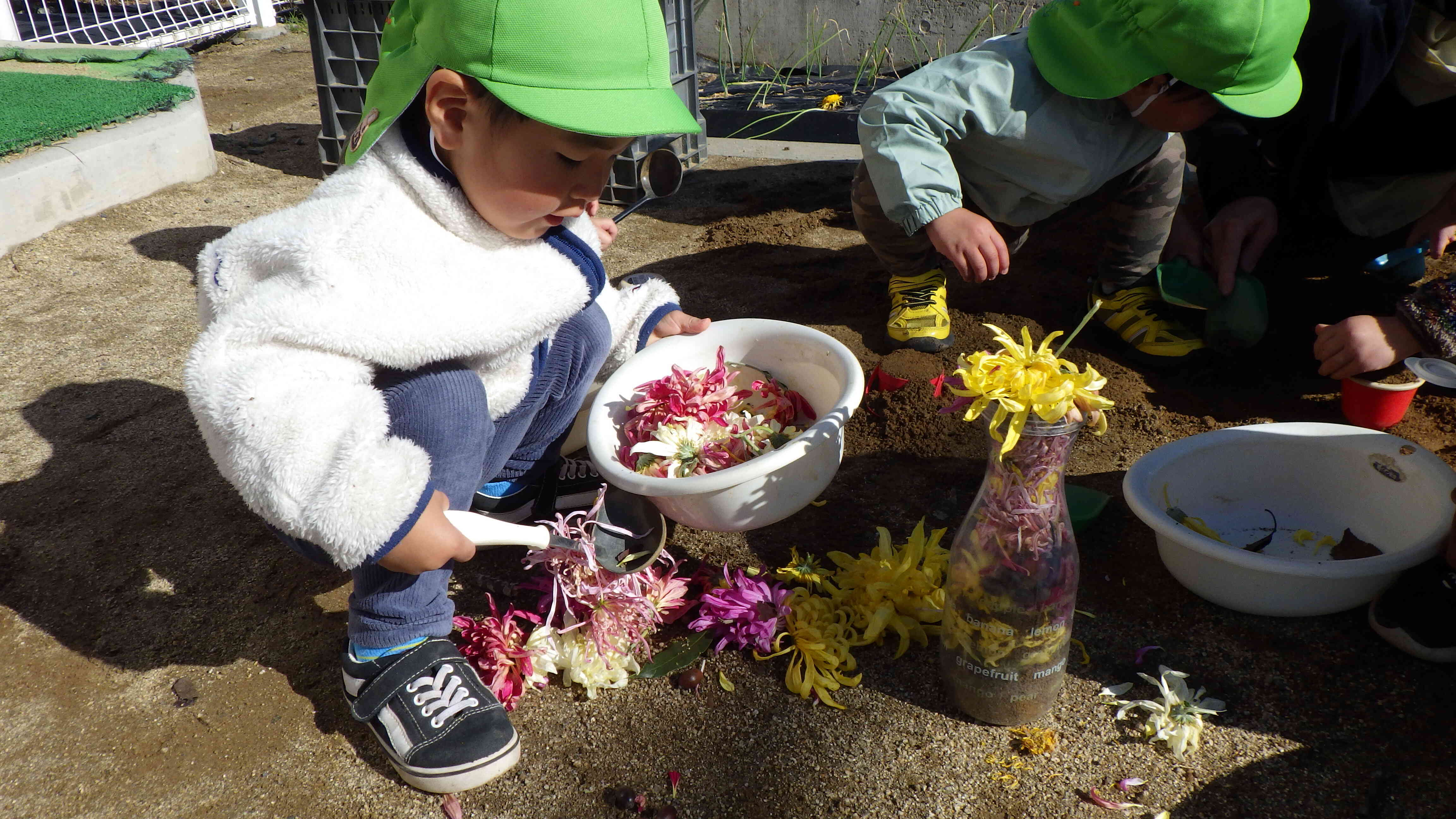 ひらひらさせたり、混ぜたり、すくうことができるほどの花びらです
