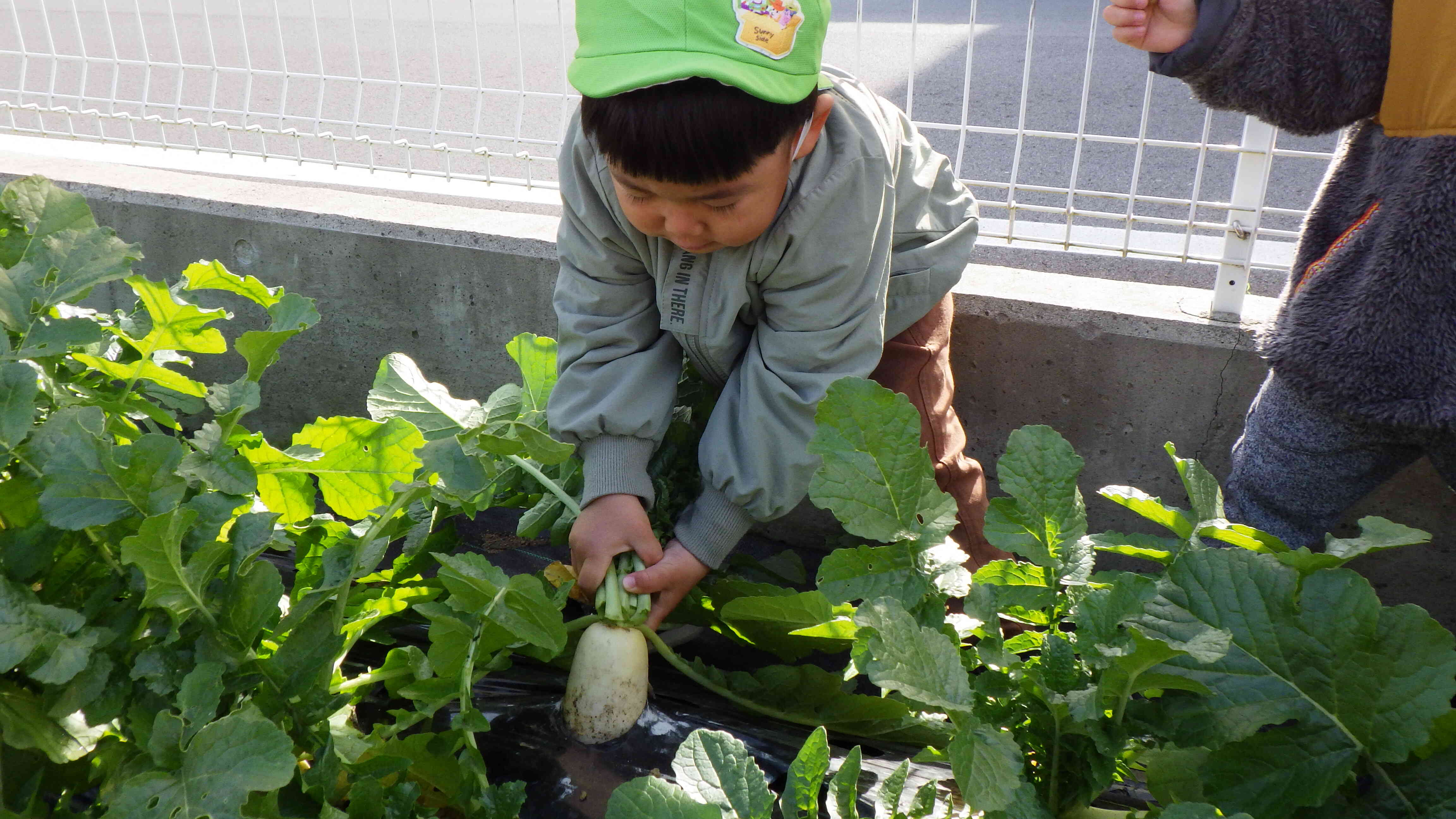 つよく！ひっぱれ！おもいぞ、がんばるぞ！