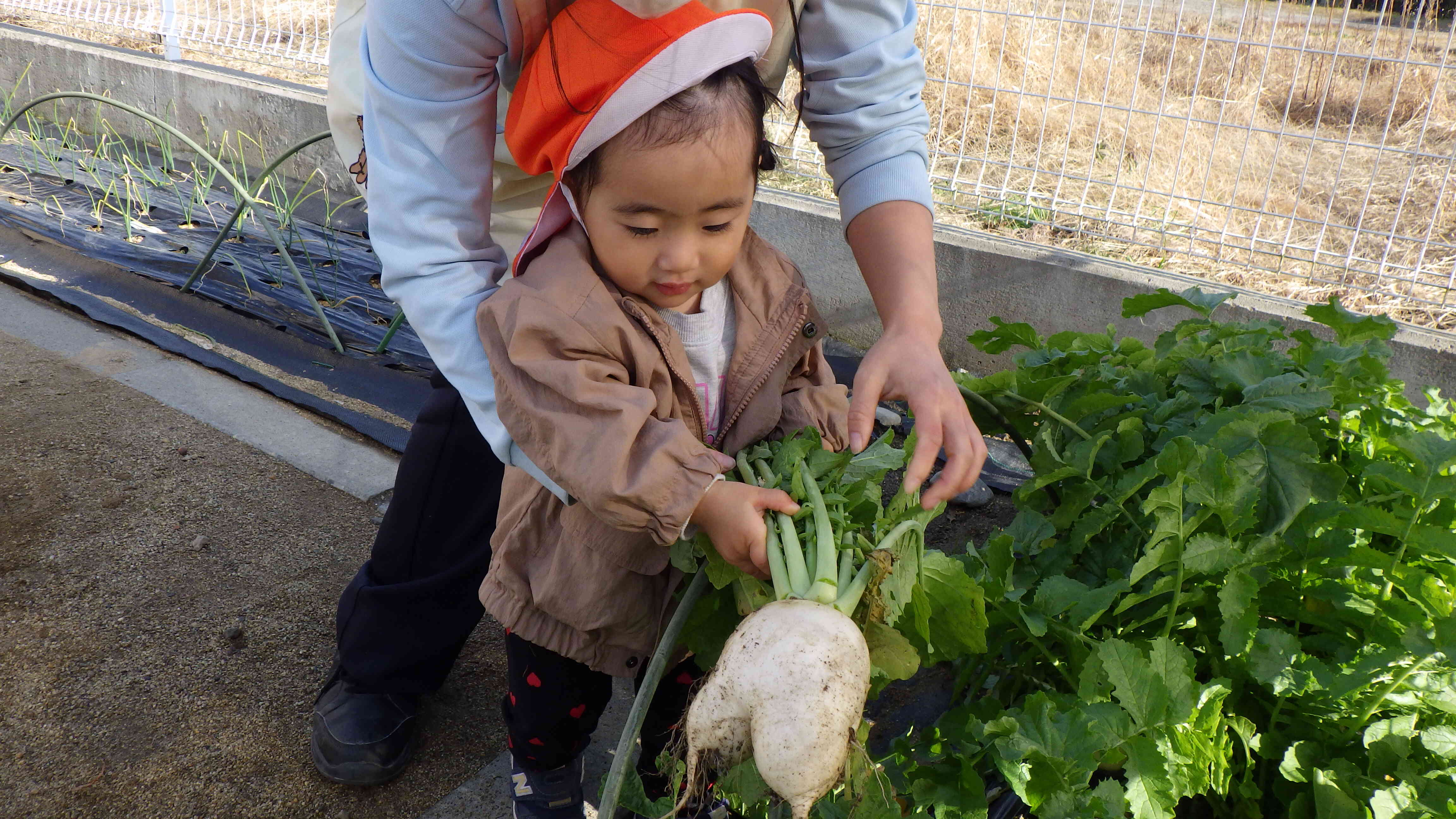 こんなかたち！　