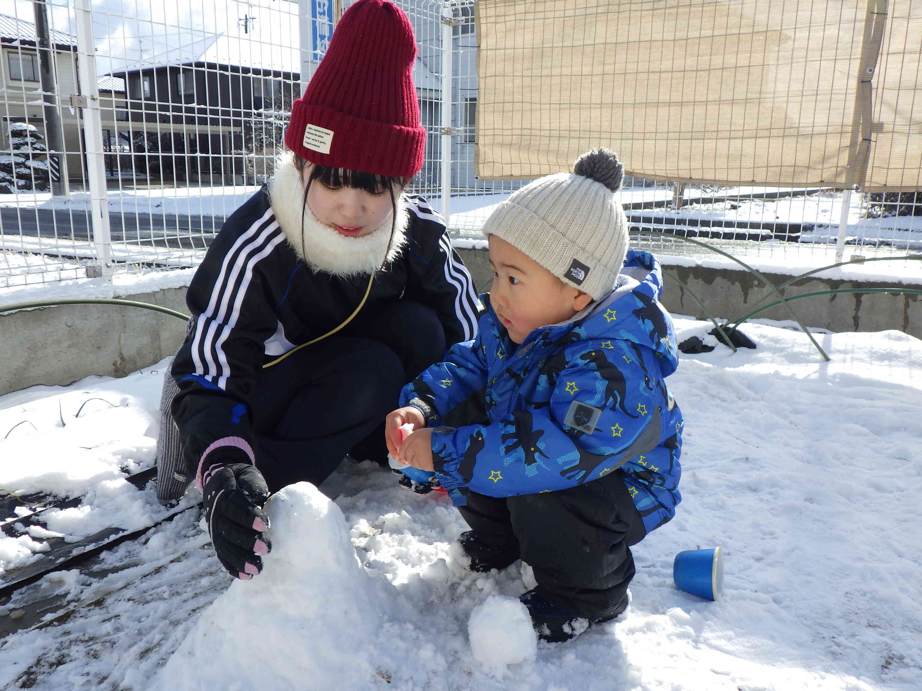 雪が積もったよ！