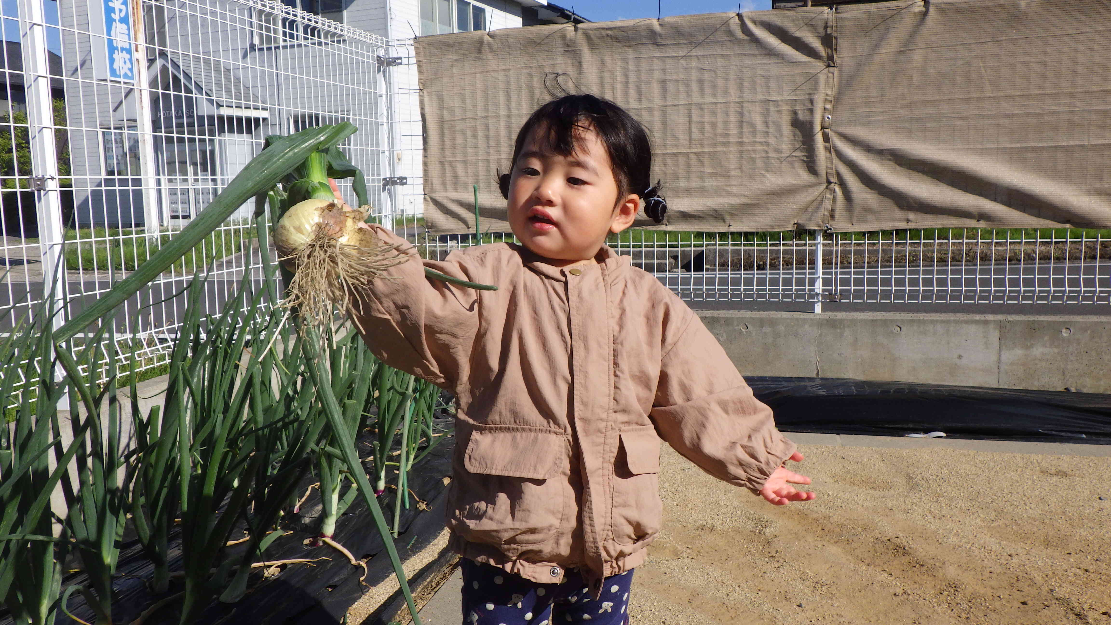 うんしょ！　ウーン！　