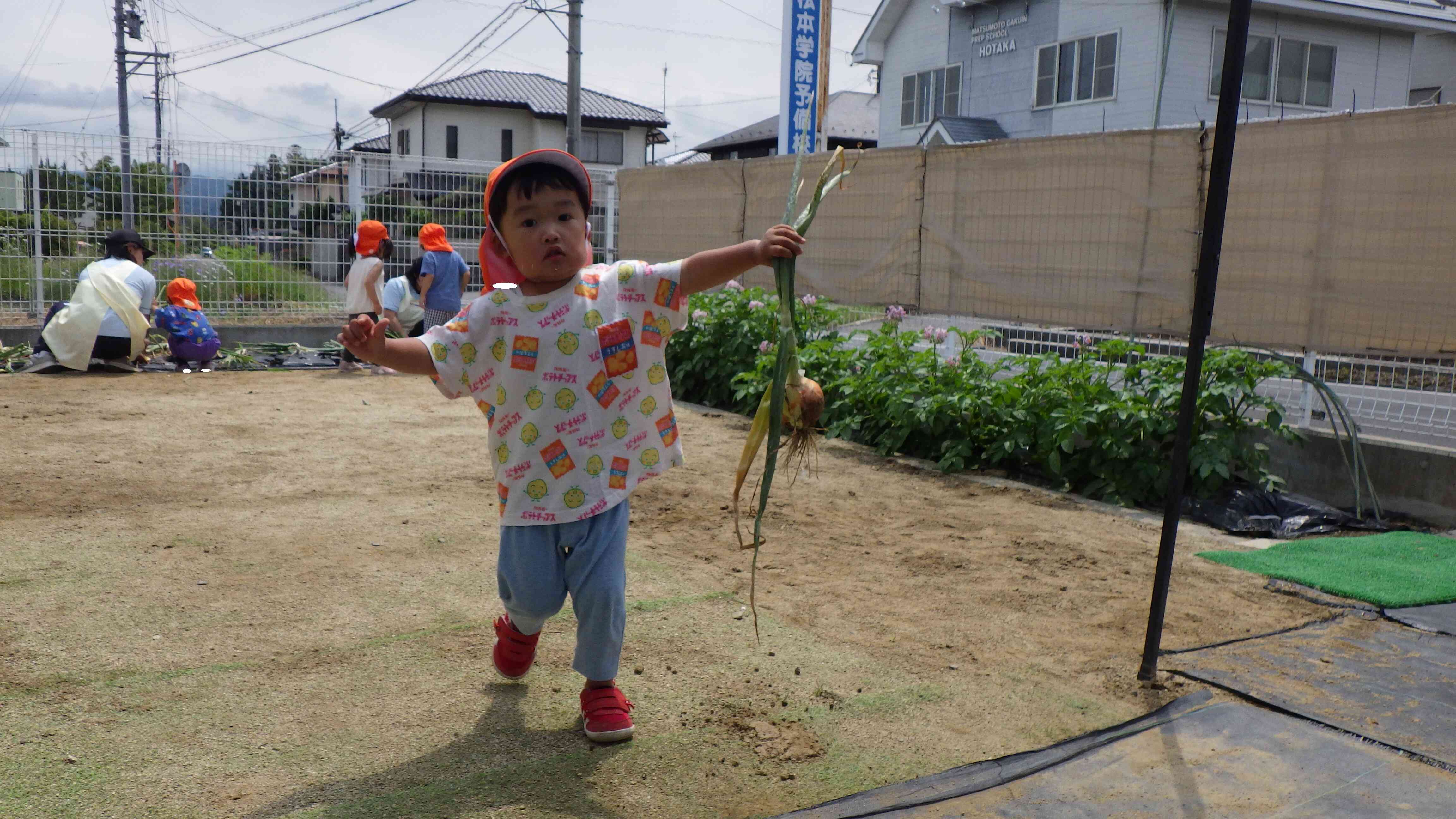 ここに、運べばいいんだね。