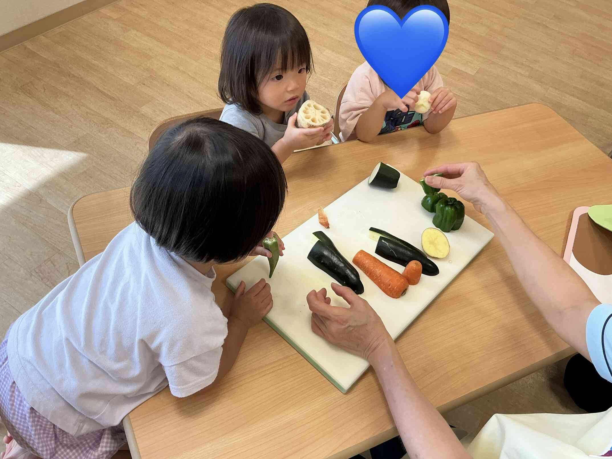 お野菜、触ってみました。