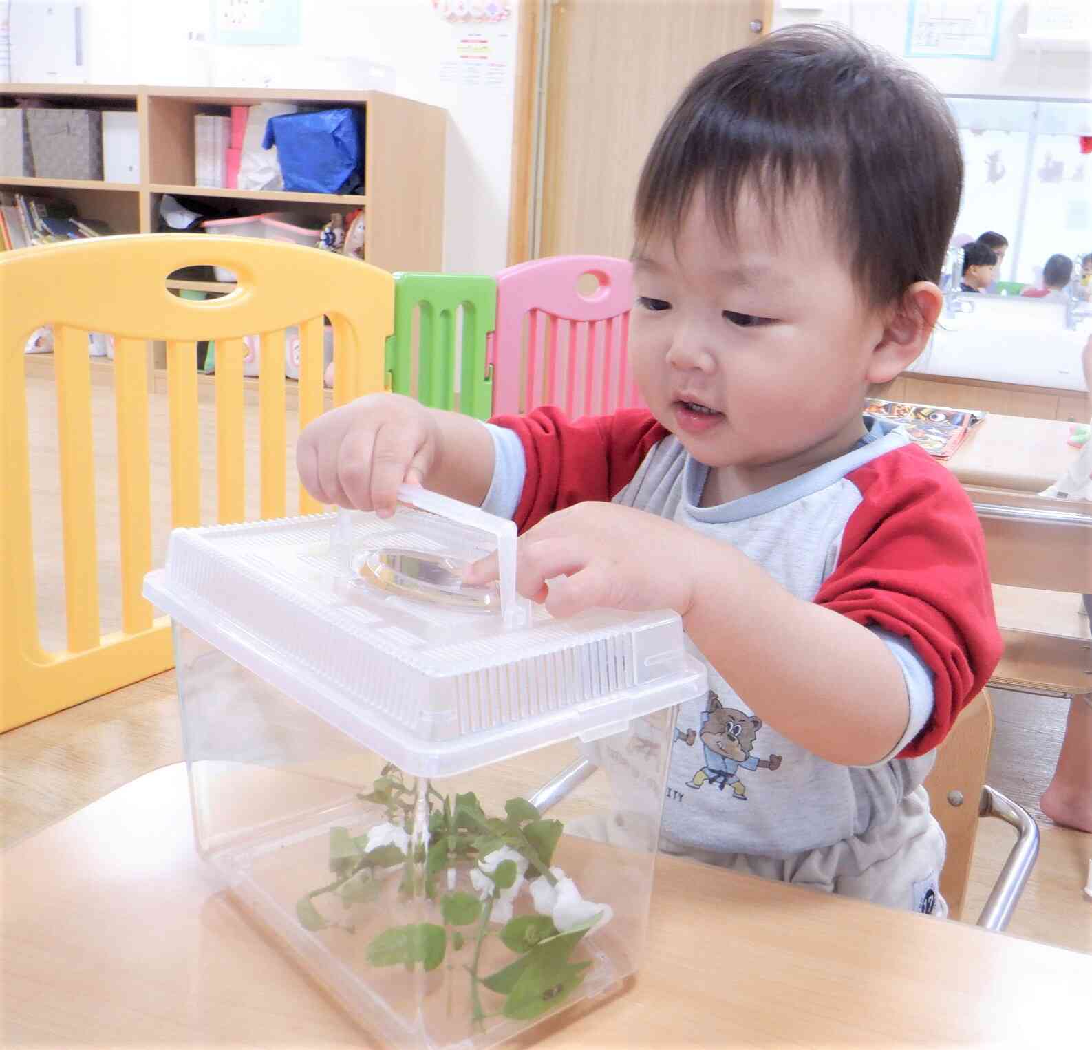 虫とりかごにも興味津々です！