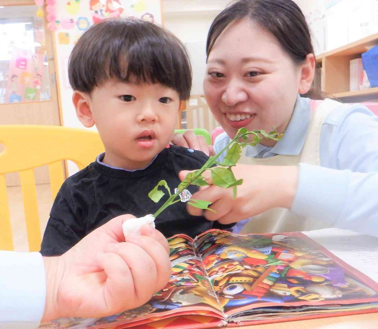 わっ！かくれんぼだ～！