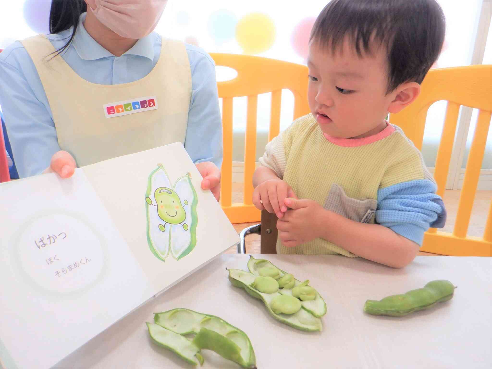 【食育】そらまめの皮むき